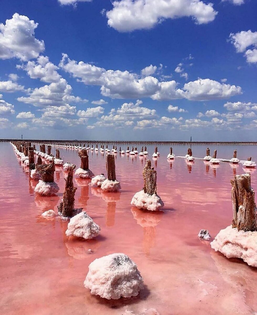 розовое озеро под евпаторией