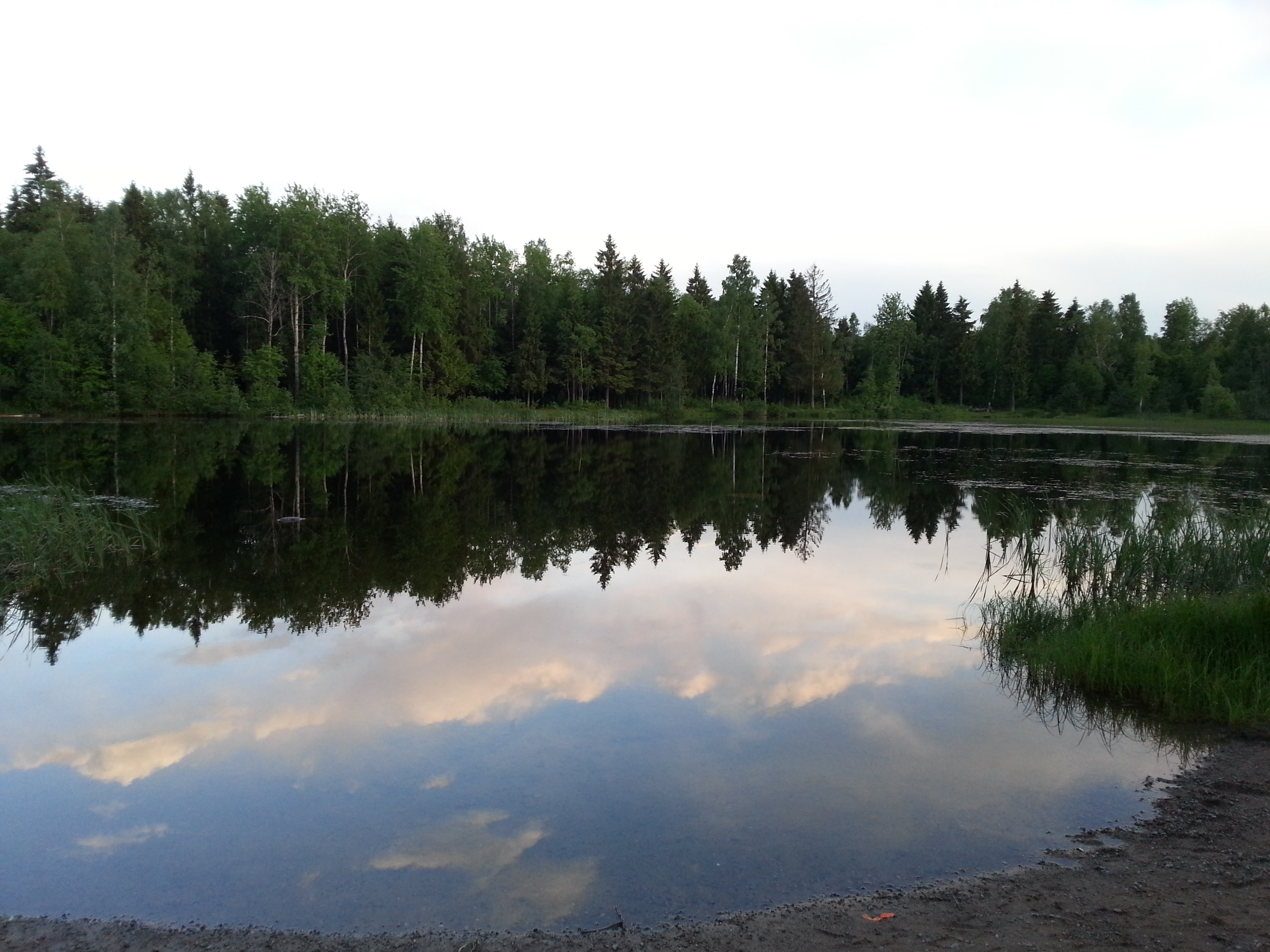 Озеро чёрное Ленинградская область