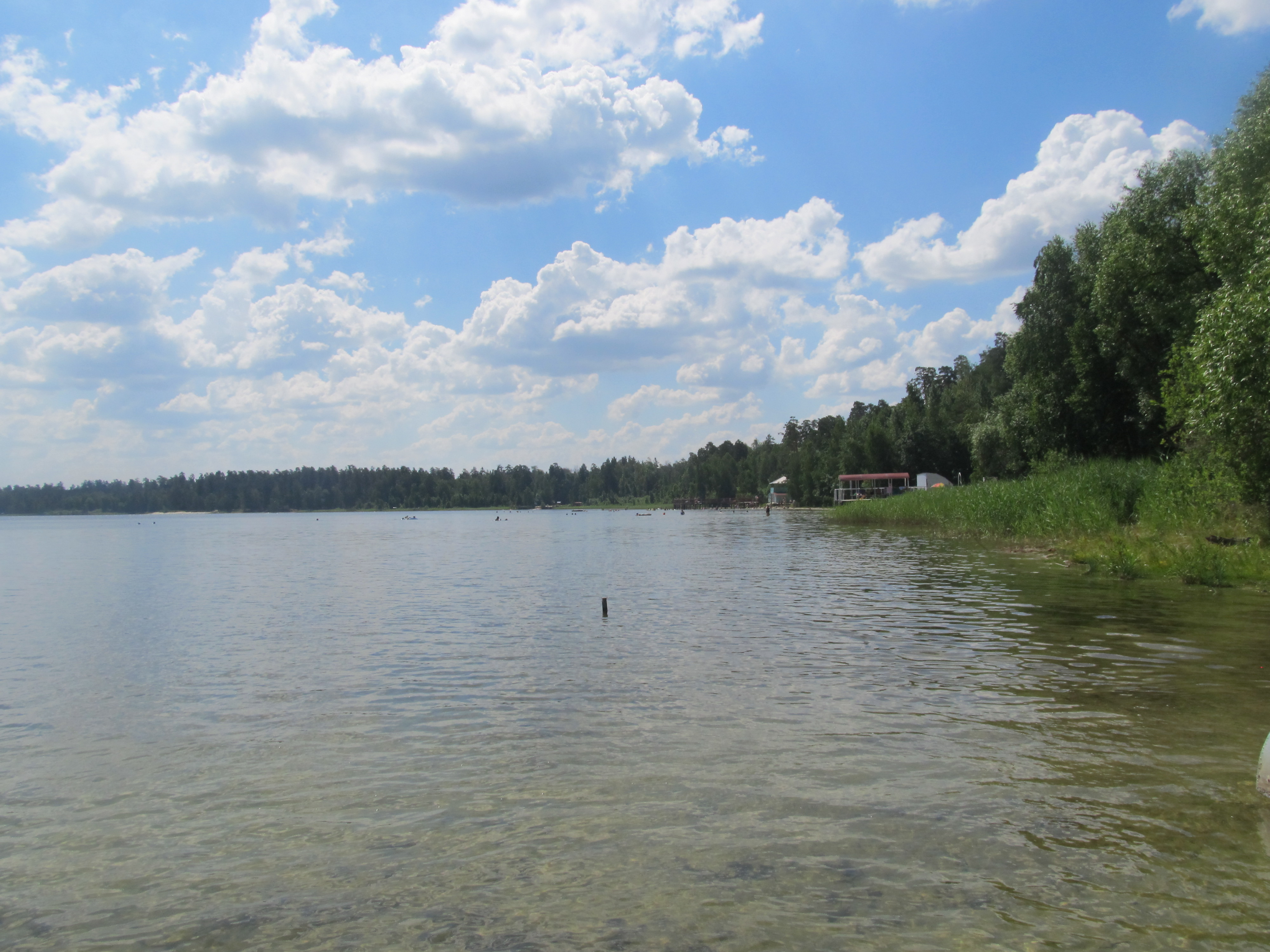 Ульяновск белое озеро Николаевский