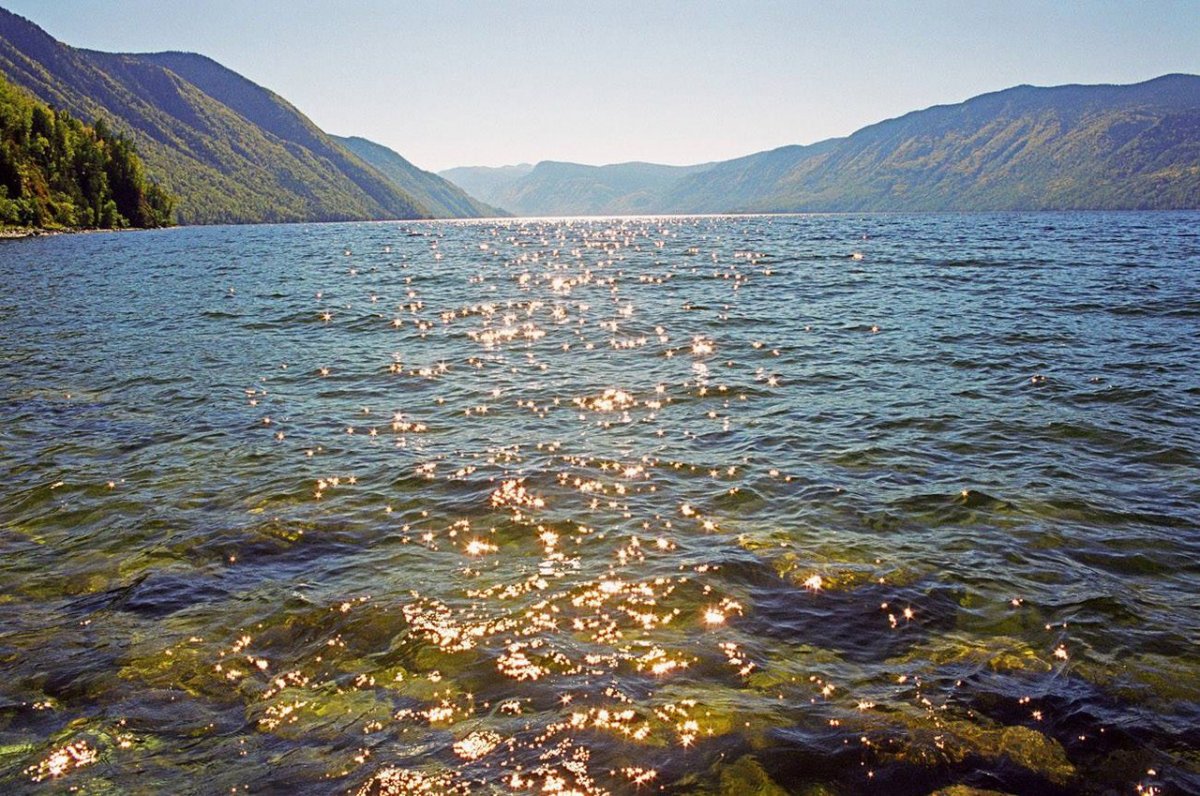 телецкое озеро фото в хорошем качестве летом