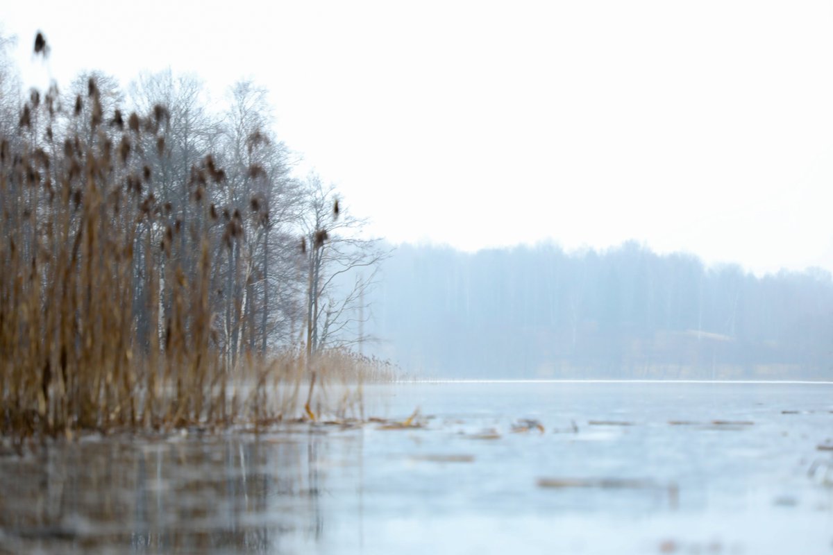 озеро чистик смоленская область