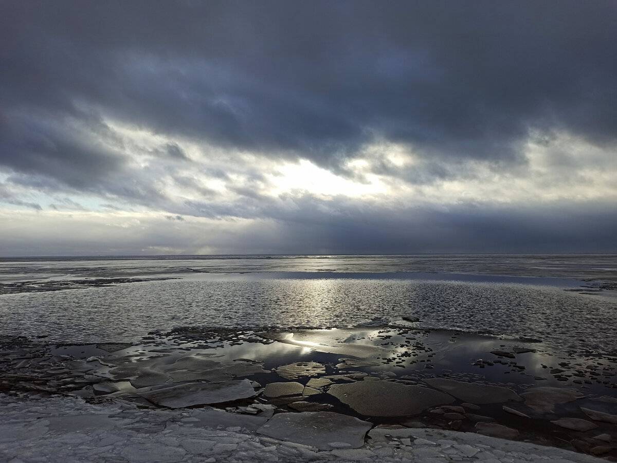 Море Лаптевых замерзло