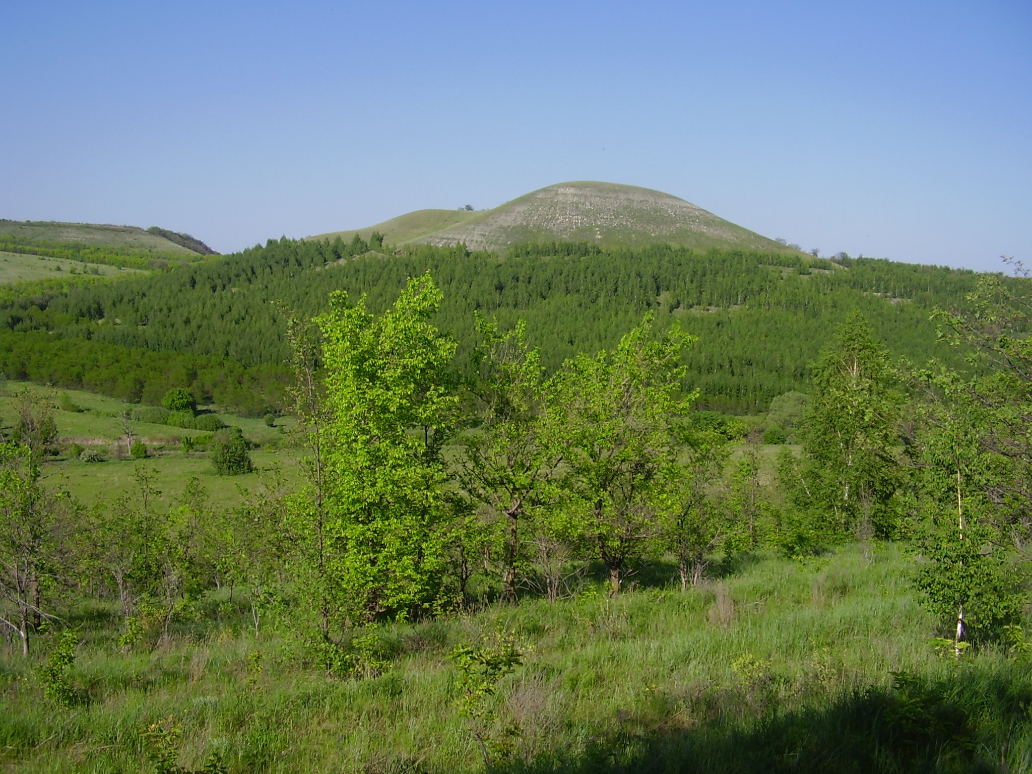 Гора лысая Беларусь
