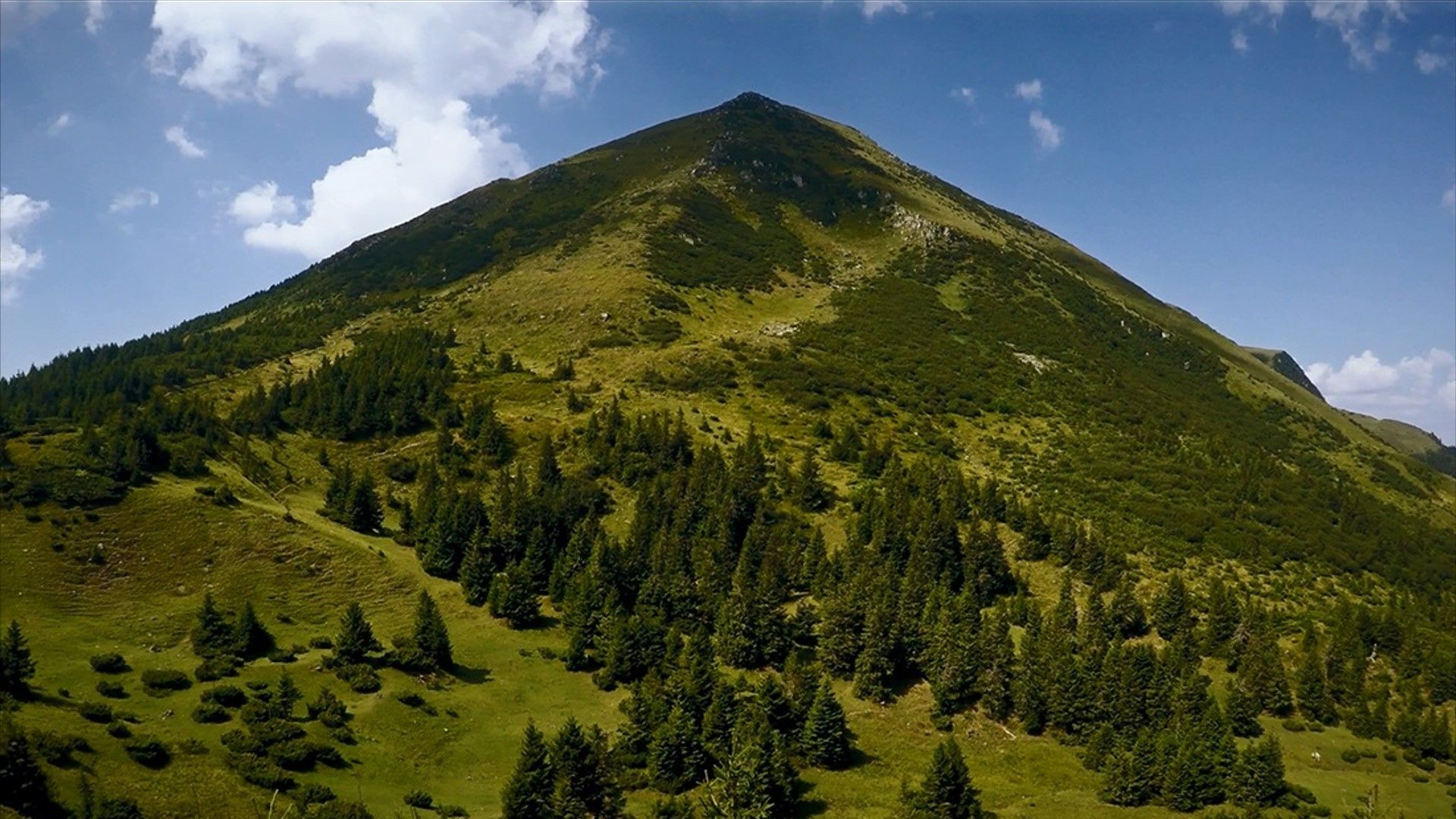 гора говерла в карпатах