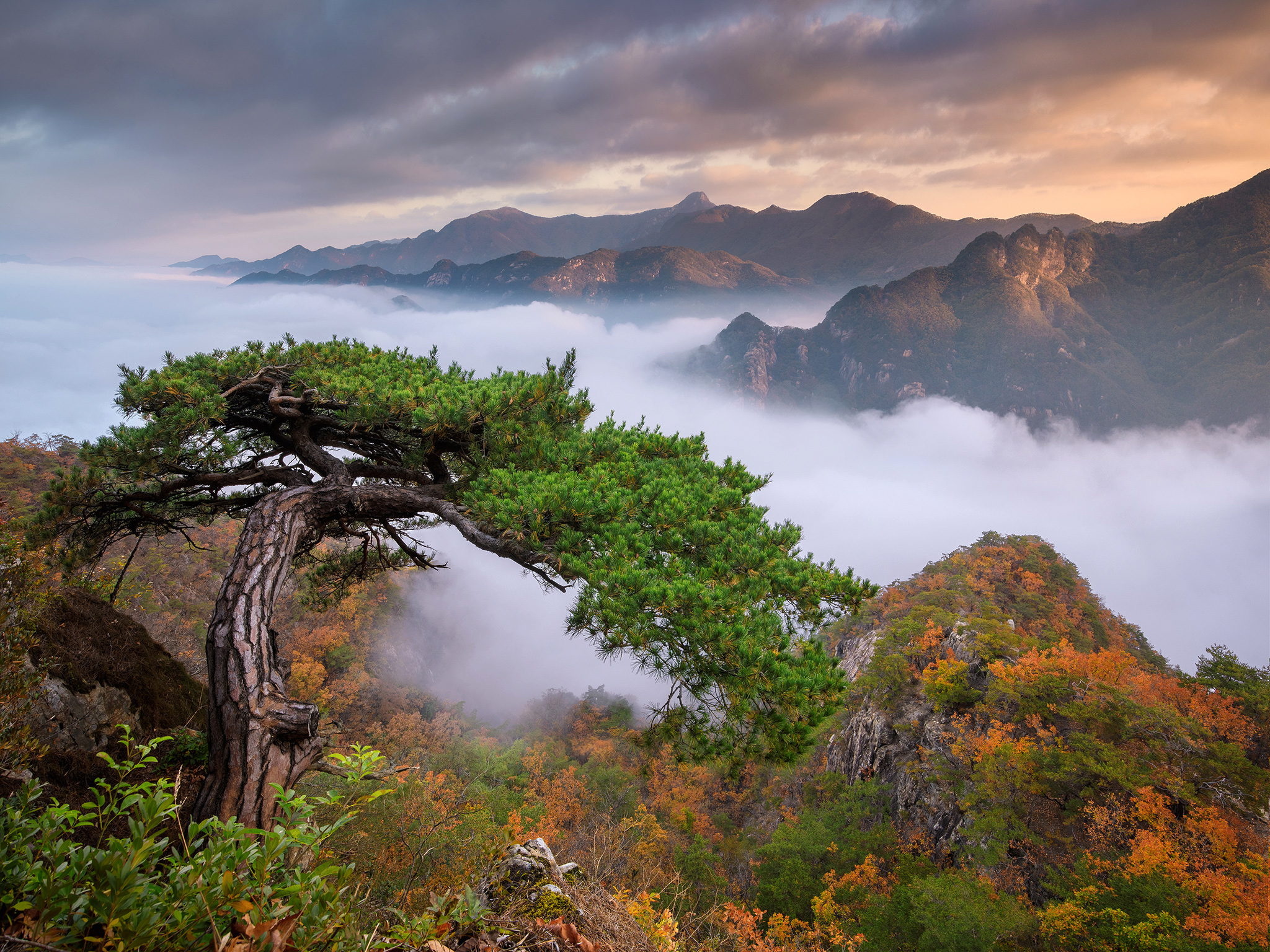Горы в Корее Южной Чхунчхон