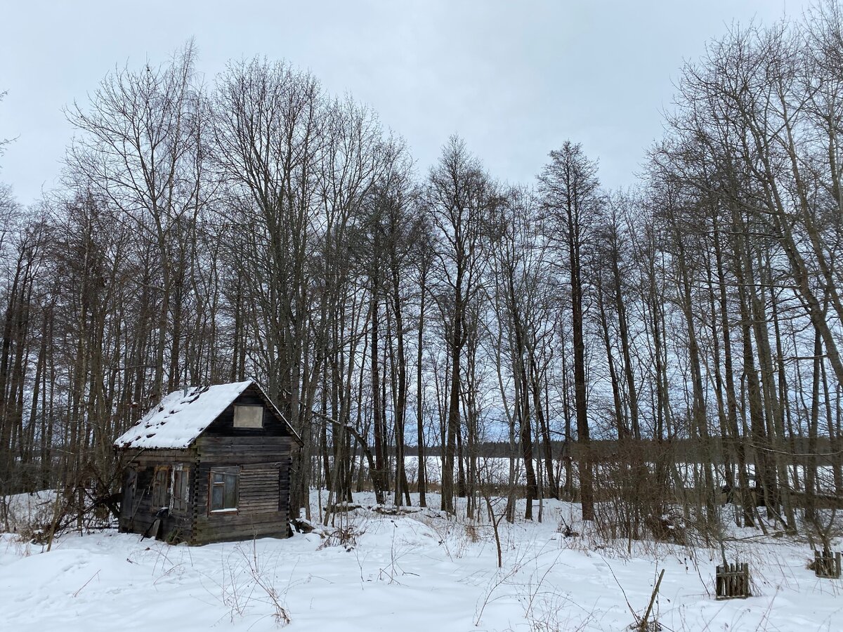 Монастырь на болоте в Новгородской области