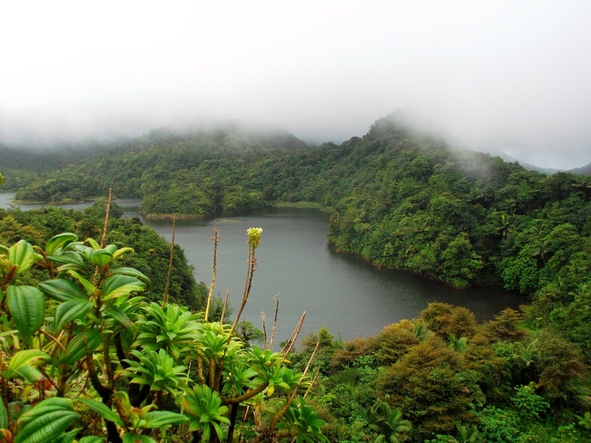 Национальный парк Морн-Труа-питон (Доминика)