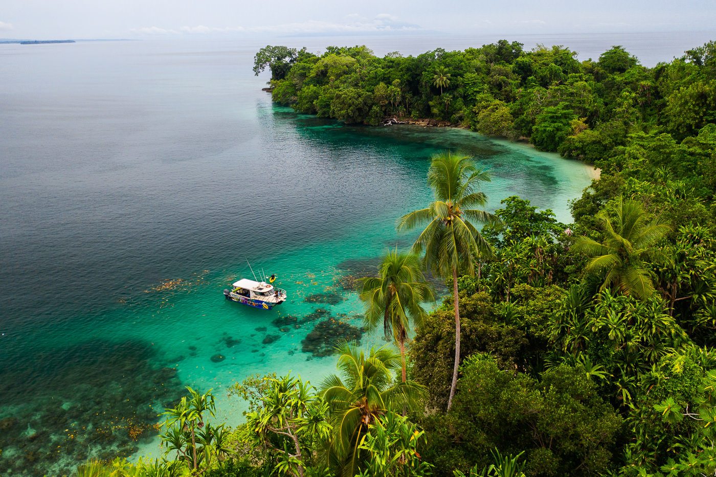 Остров Папуа