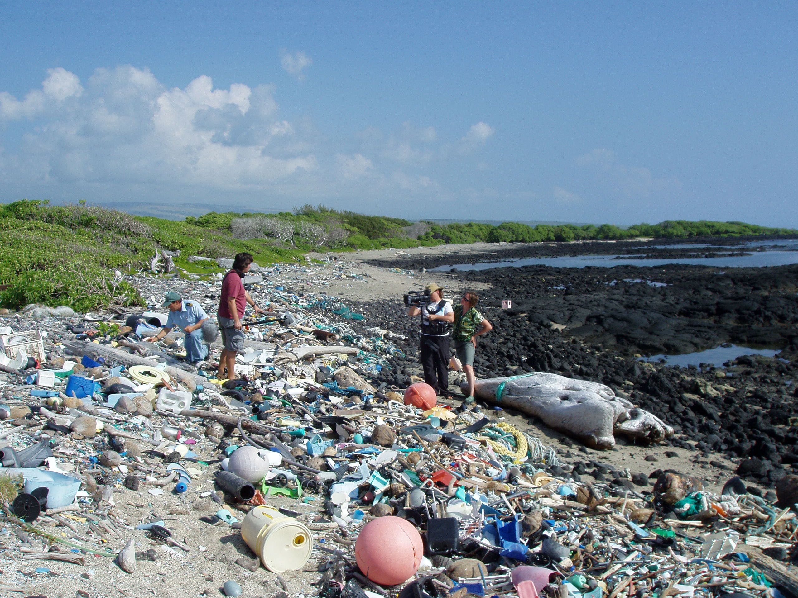 океан мусорные острова