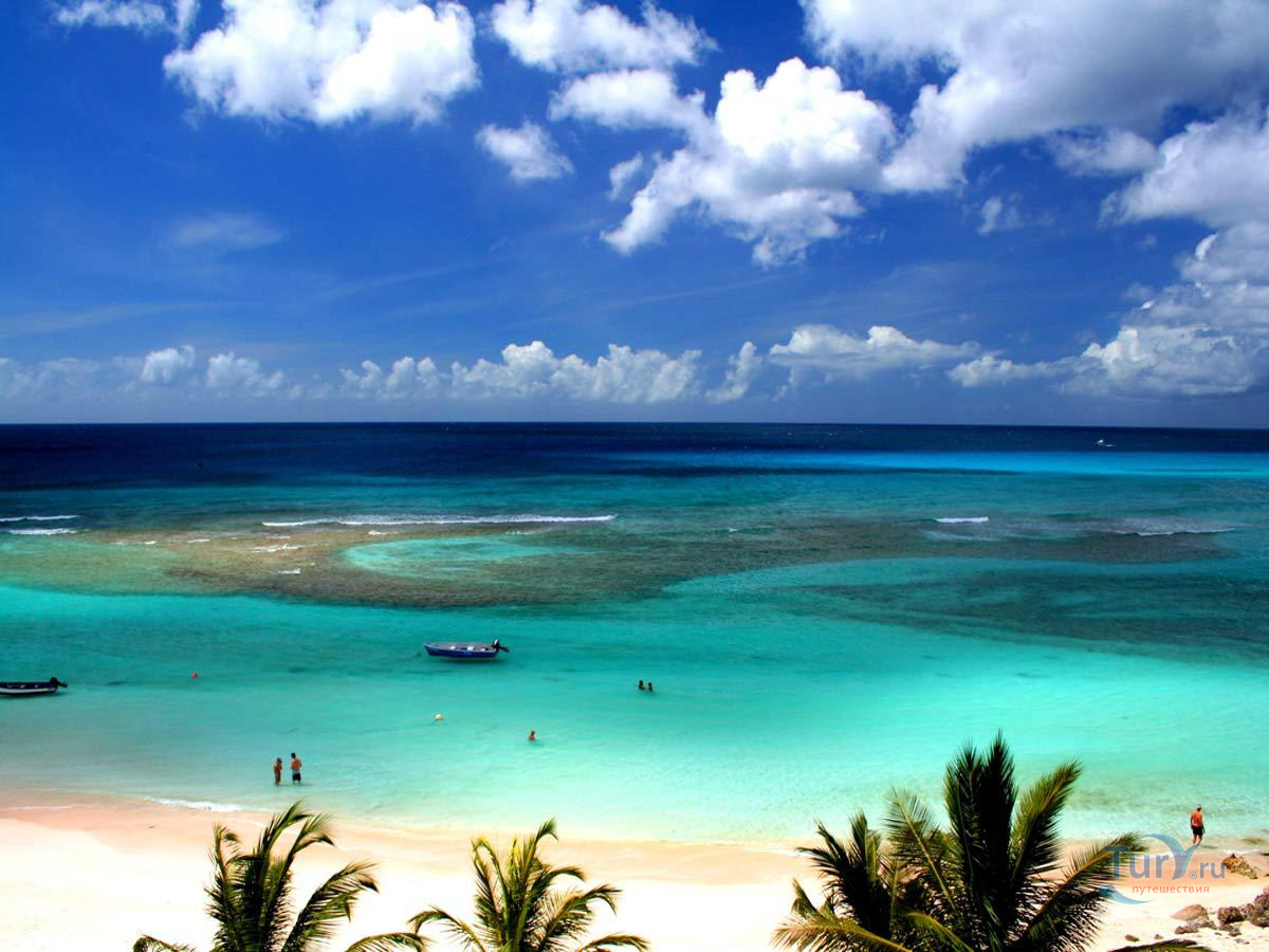Остров Барбадос в Карибском море