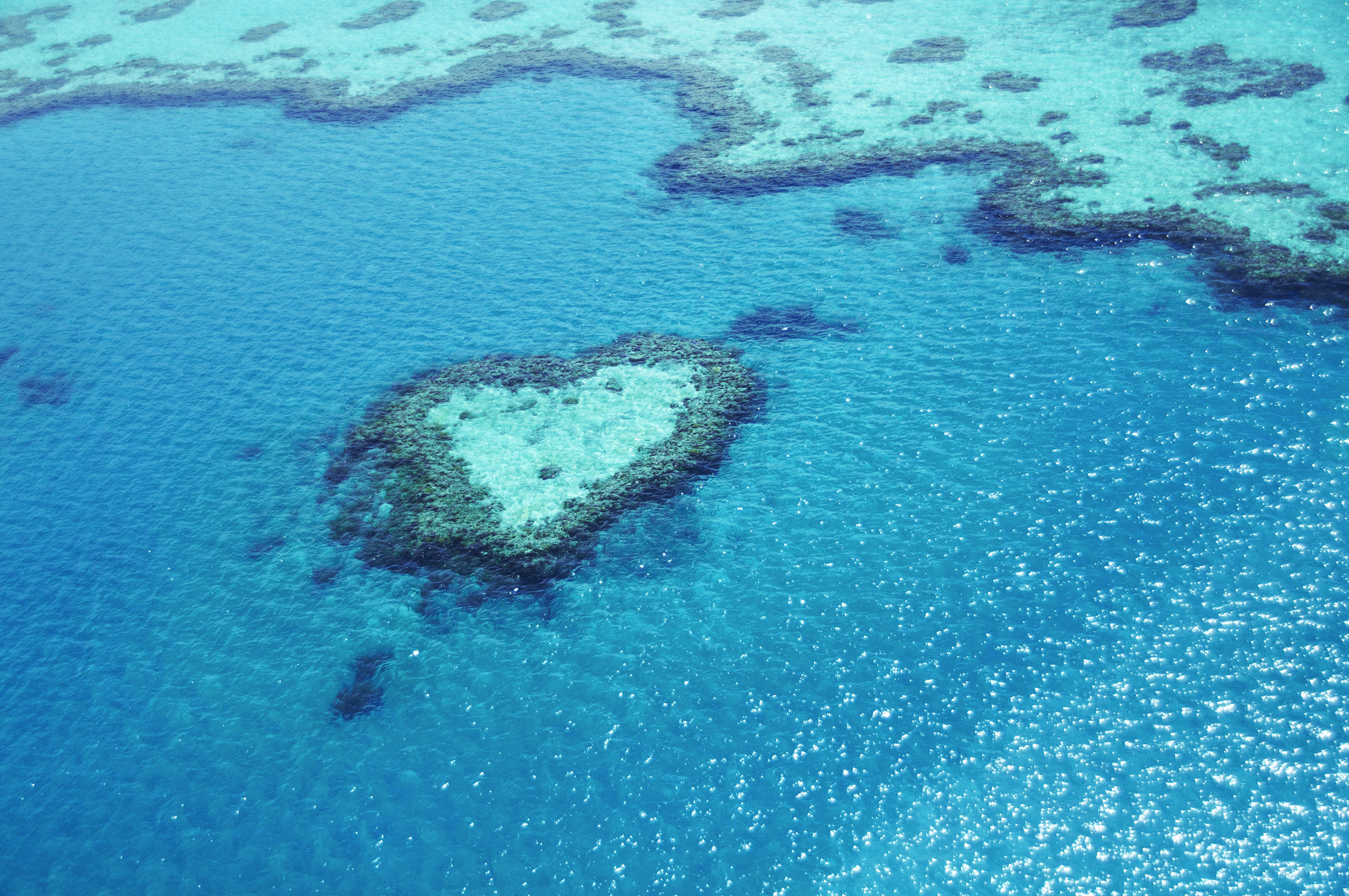 Барьерный риф в Австралии сердце