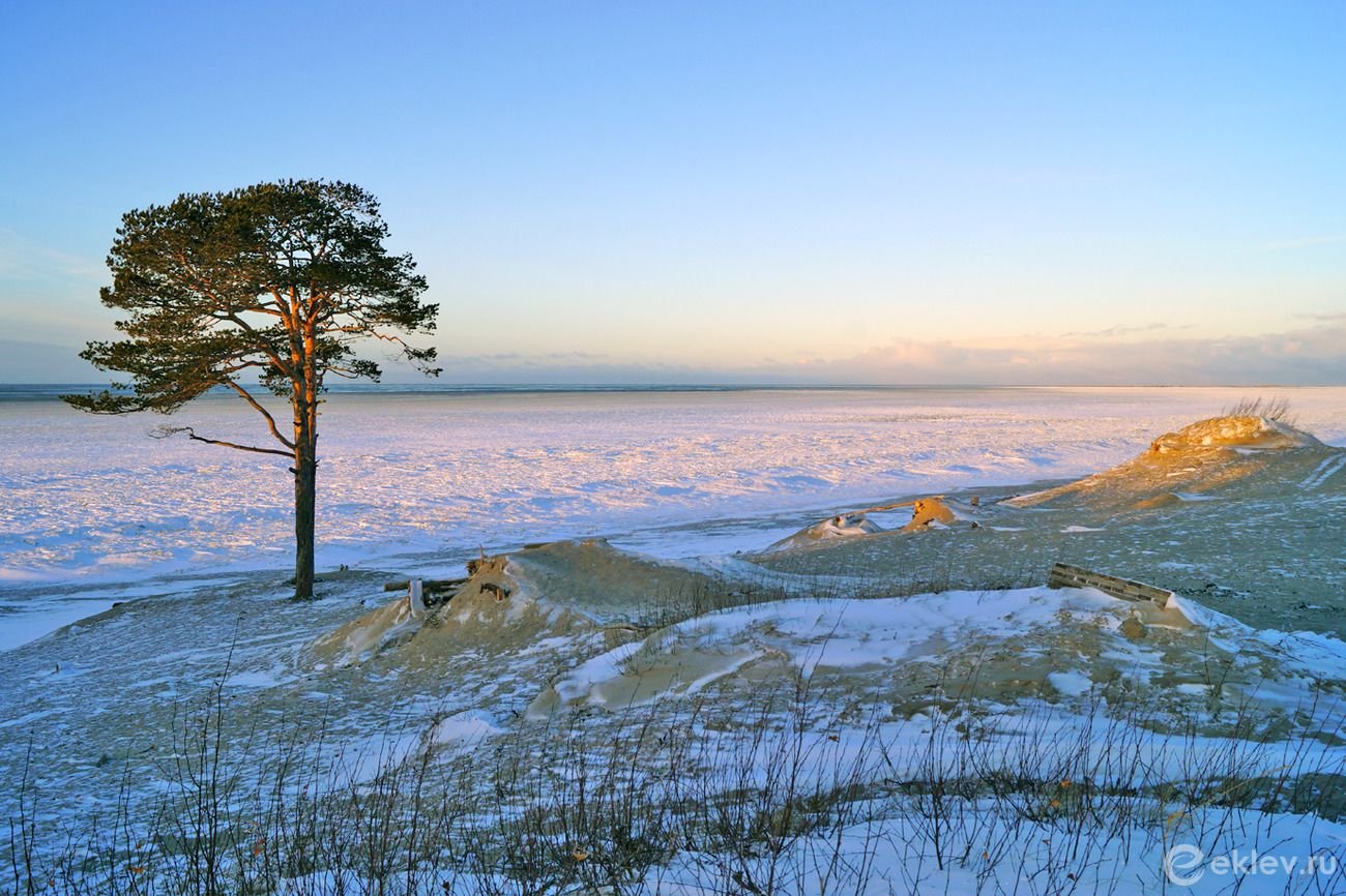 Белое море Архангельск Ягры