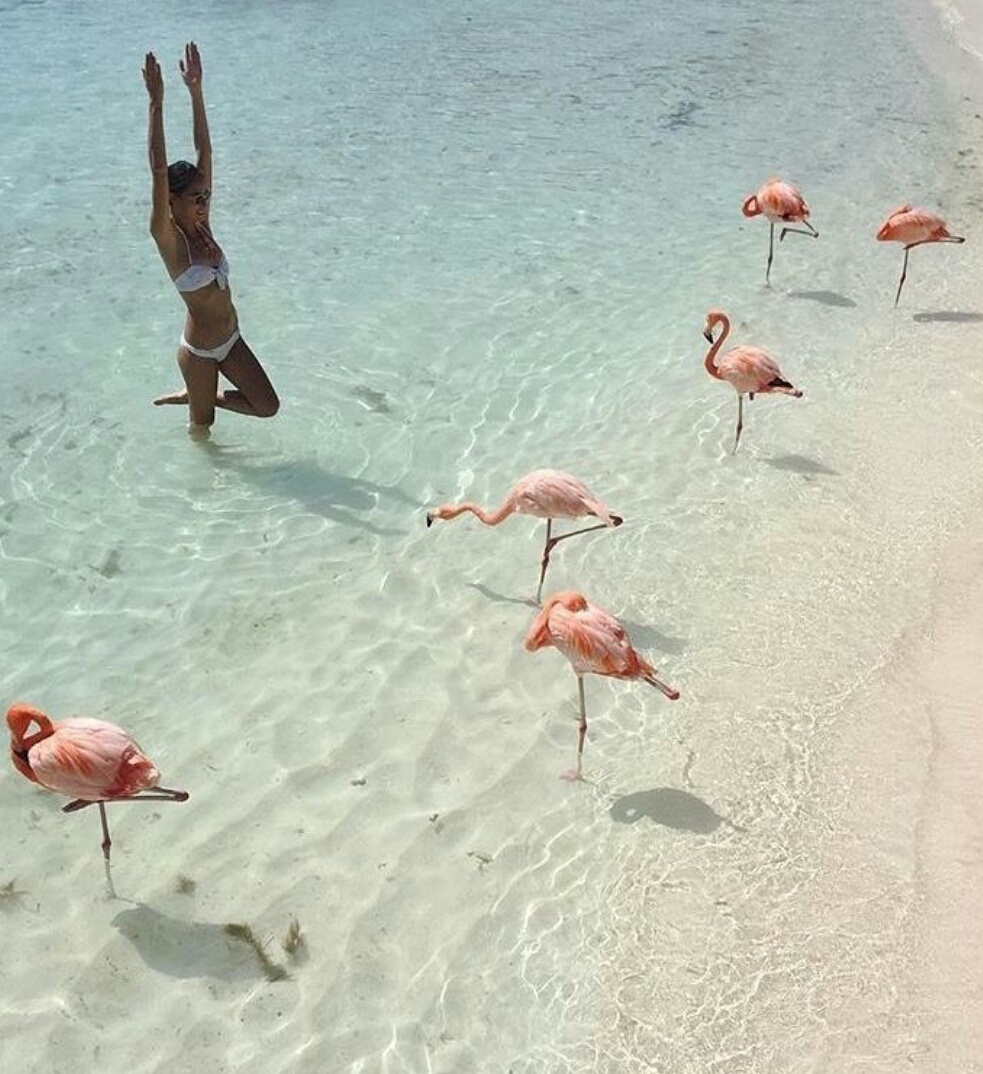 Остров Кайо Коко Фламинго