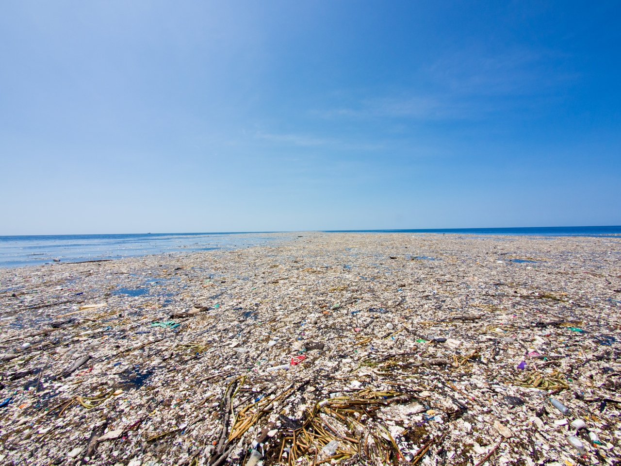 мусорные острова в океане