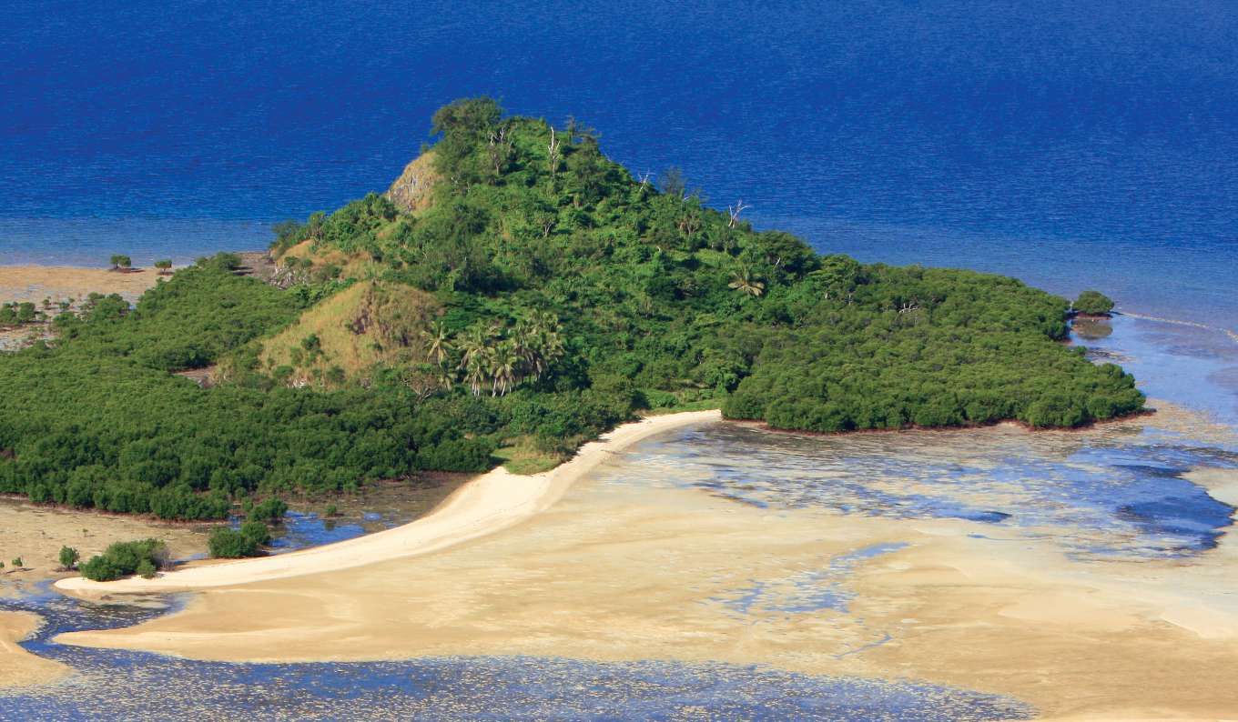Fiji Island Kanacea