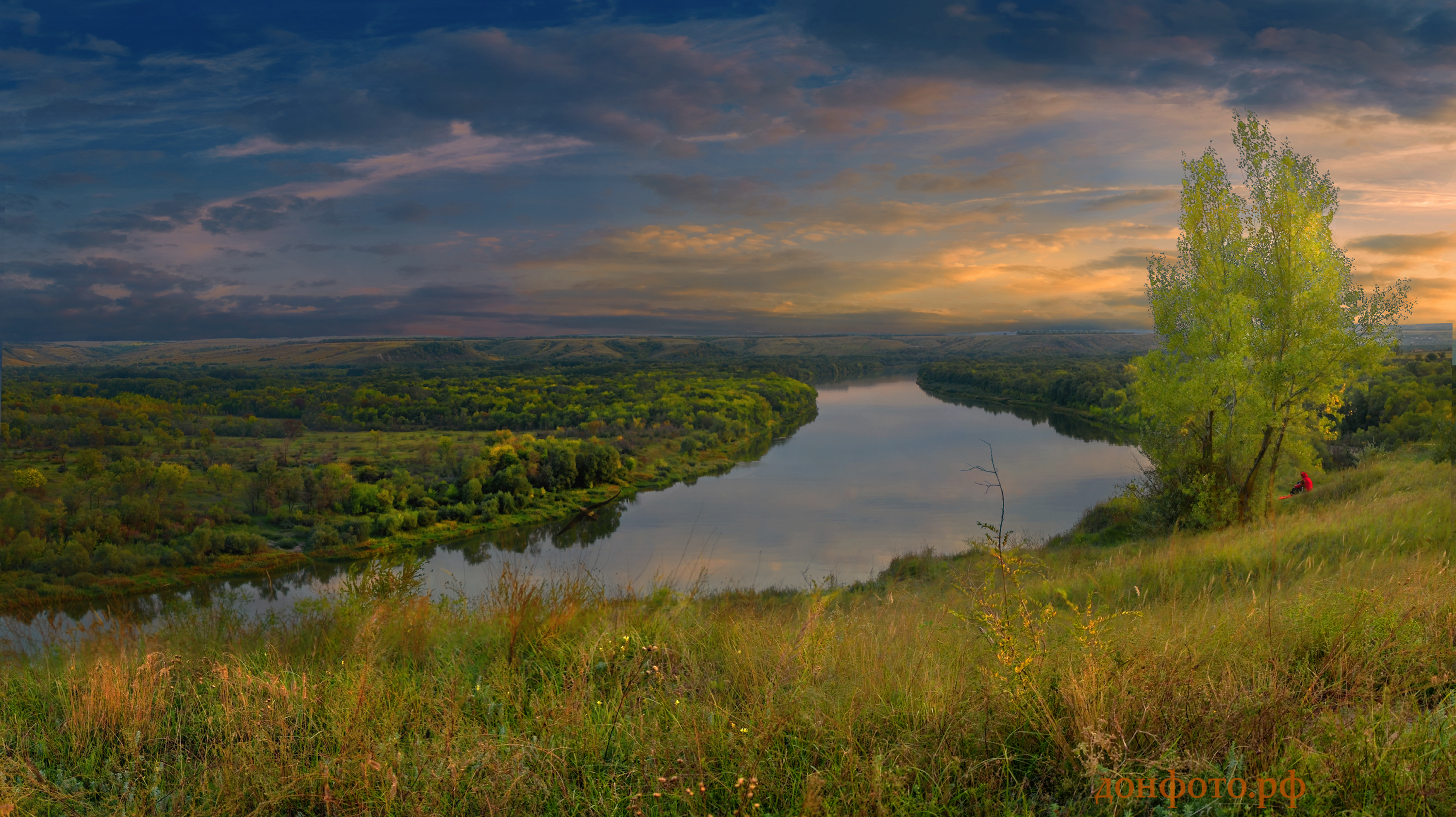 Природа Ростовской области фото