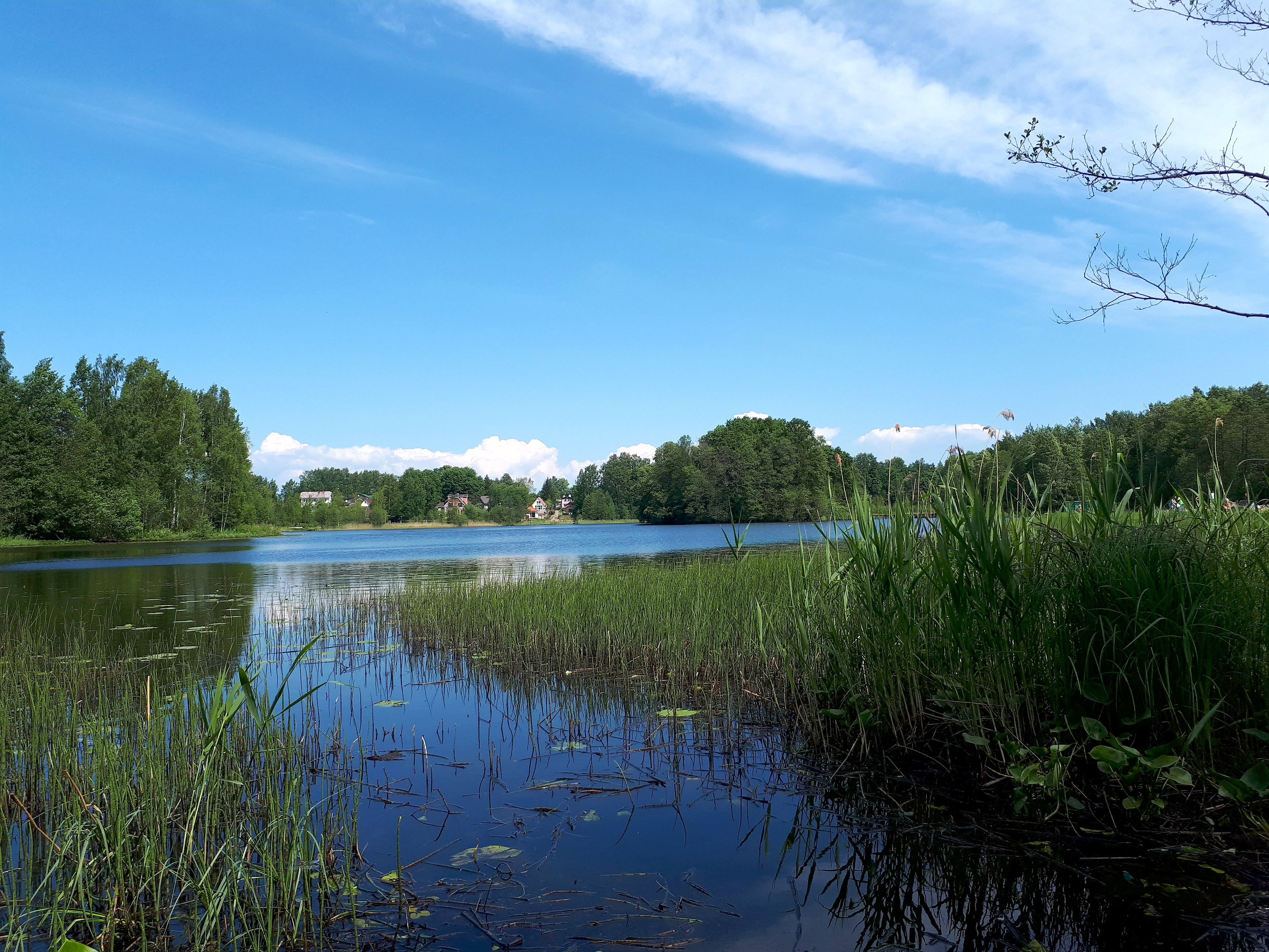 Финское озеро Шуваловский парк