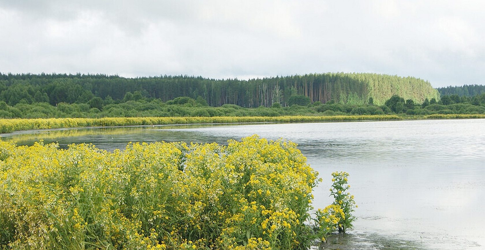 Озеро Щелкунское Свердловская область