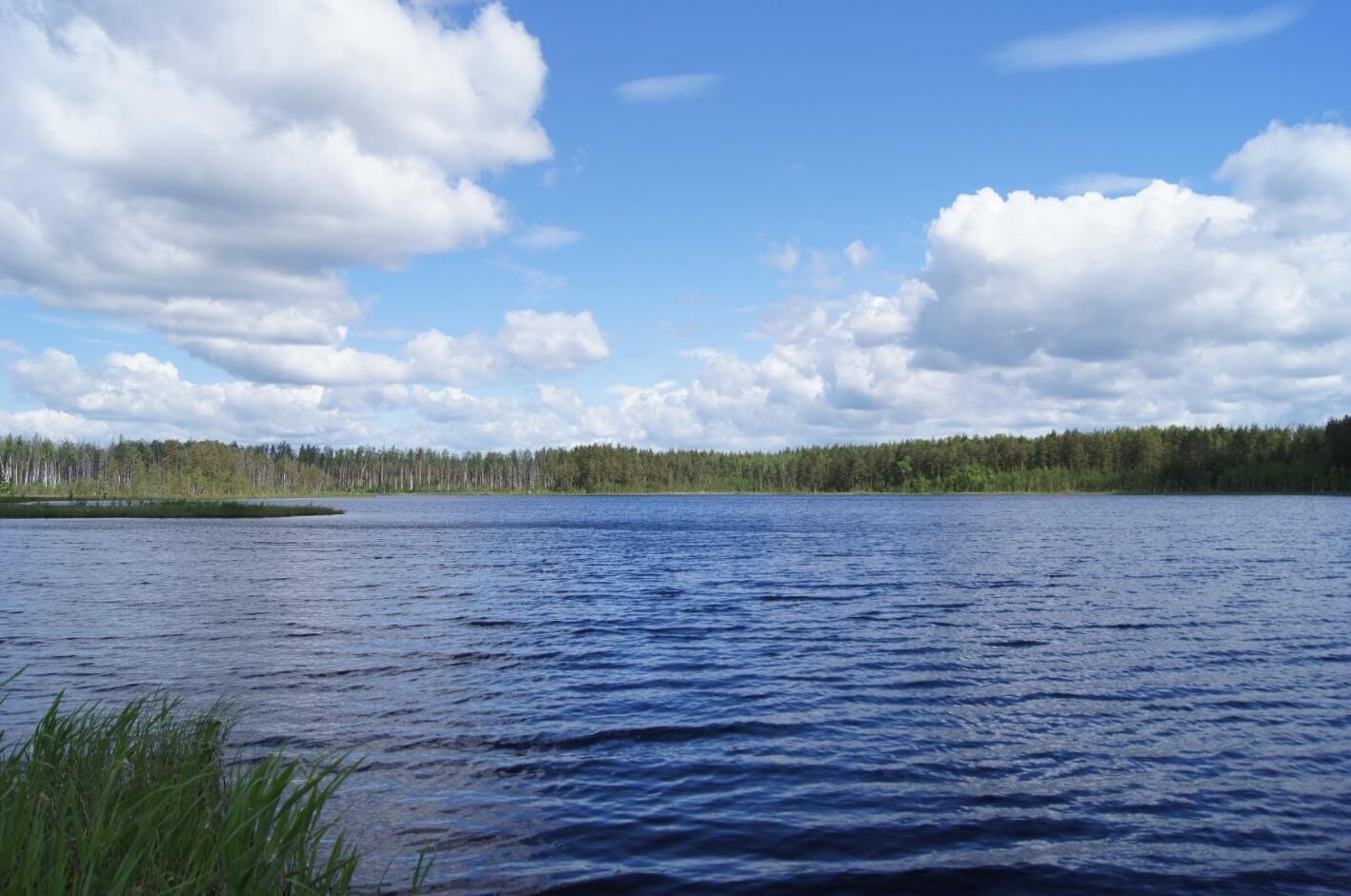 озеро в орехово зуево