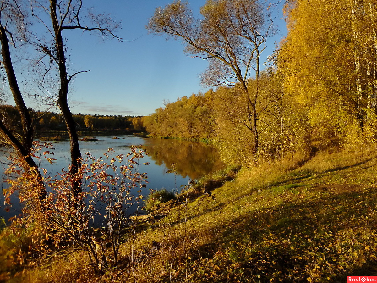 Осень в Орехово-Зуево