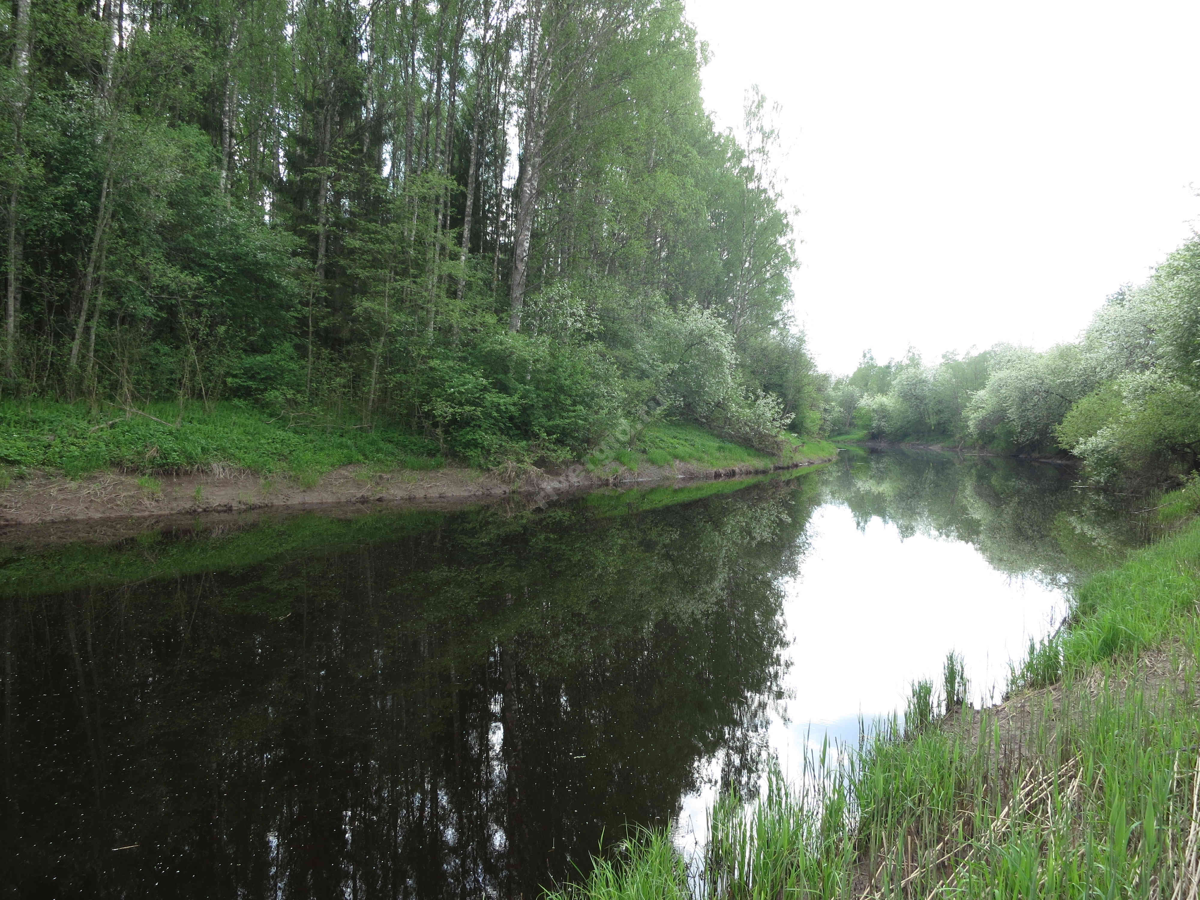 озеро тигода новгородская область