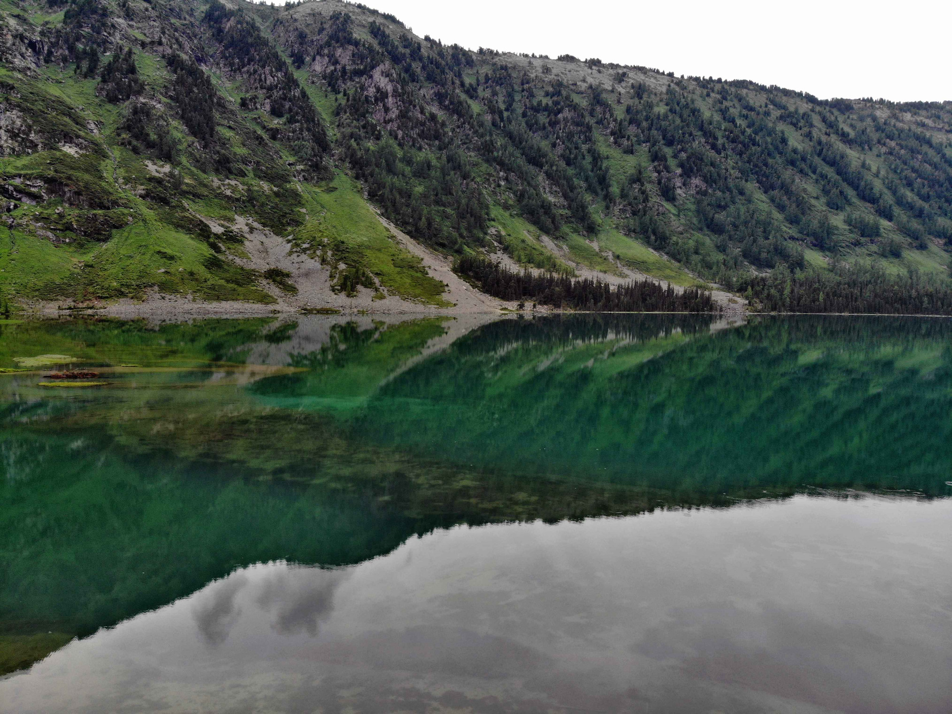 Турочак озеро Куреево