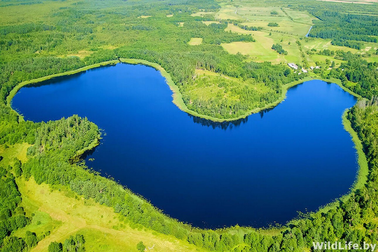 Озера в Гродненской области