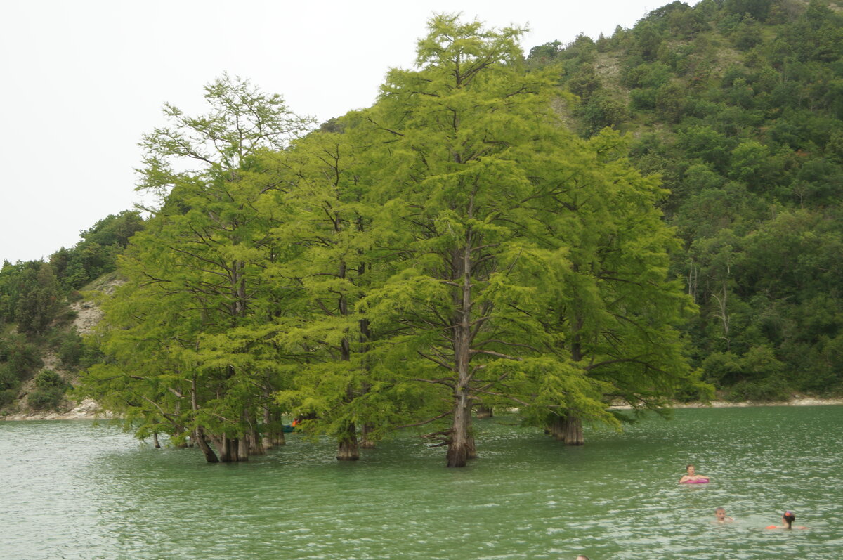 Кипарисовое озеро в Геленджике фото