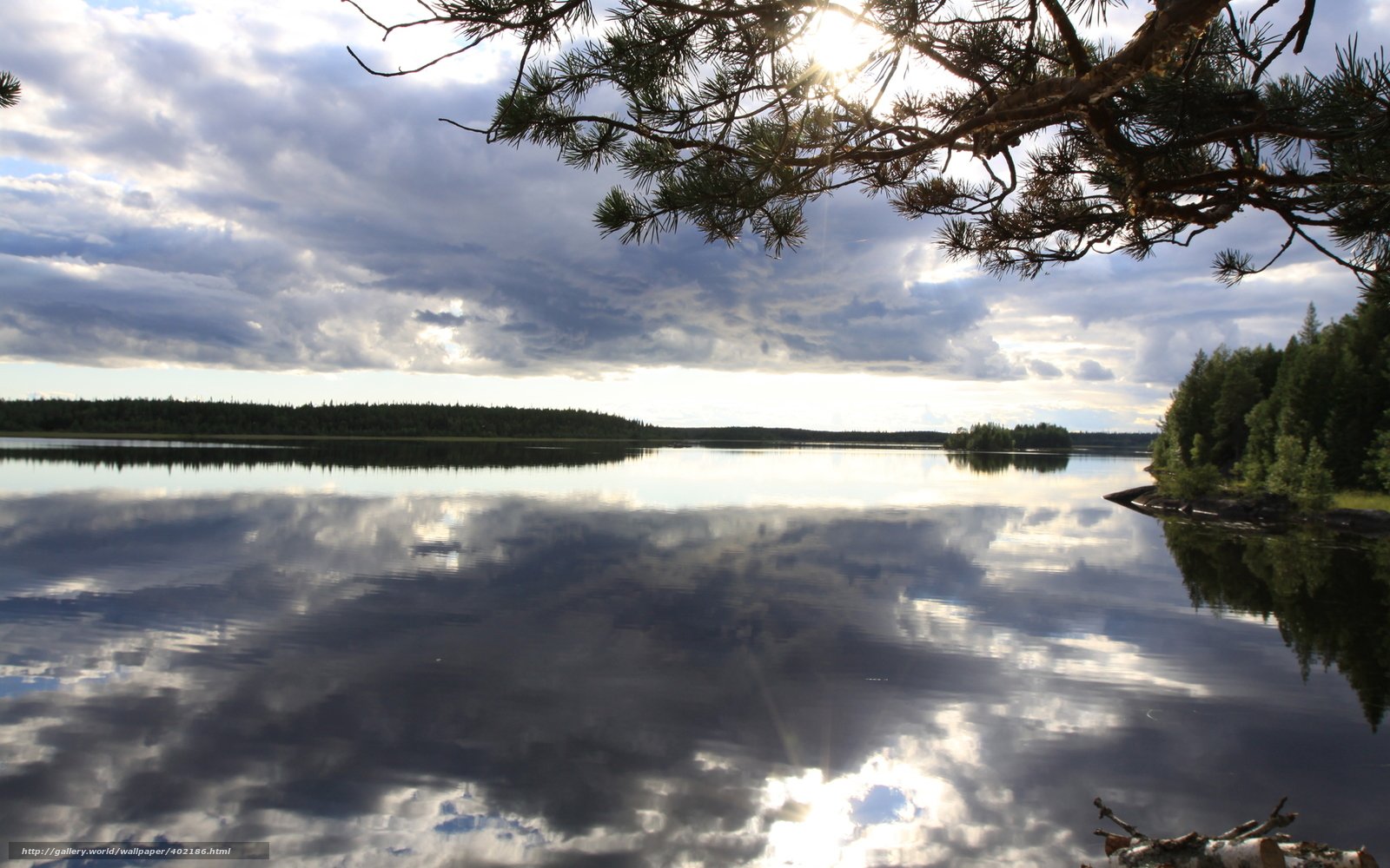 Озеро зеркальное Алтайский край Шипуновский