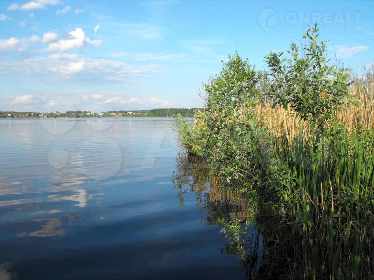 Озеро круглое Демидовский район