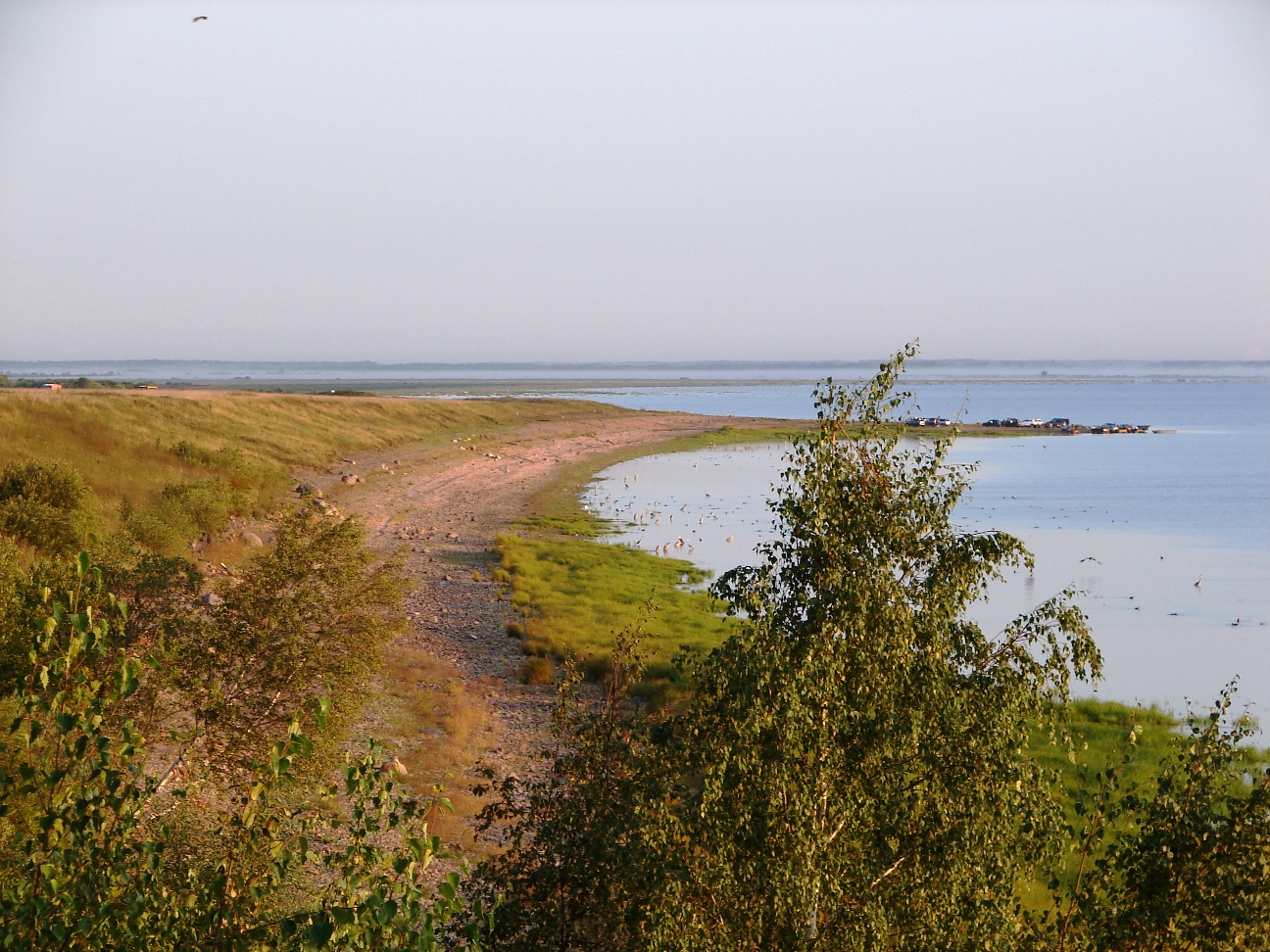 Коростынь Новгородская область пляж