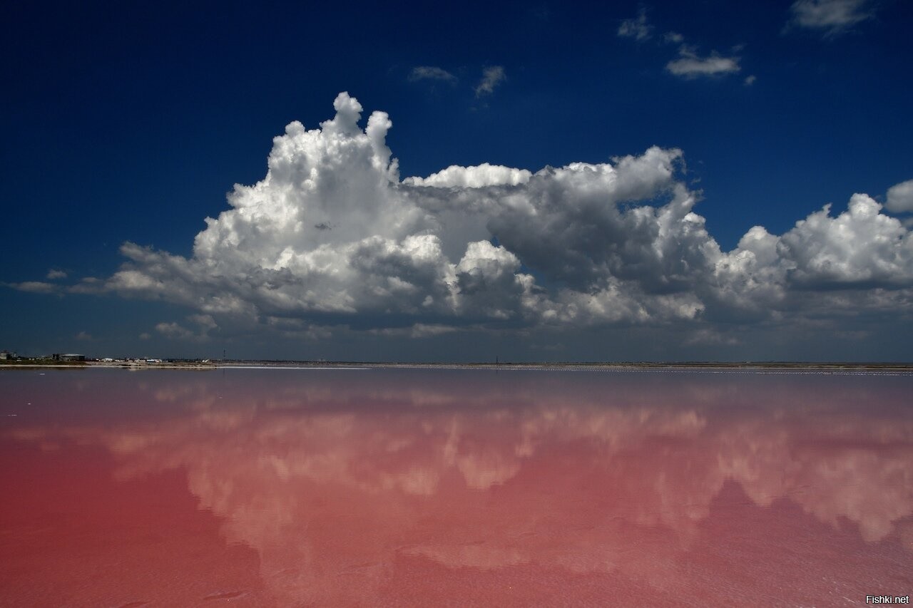 Розовое озеро в Крыму Сасык