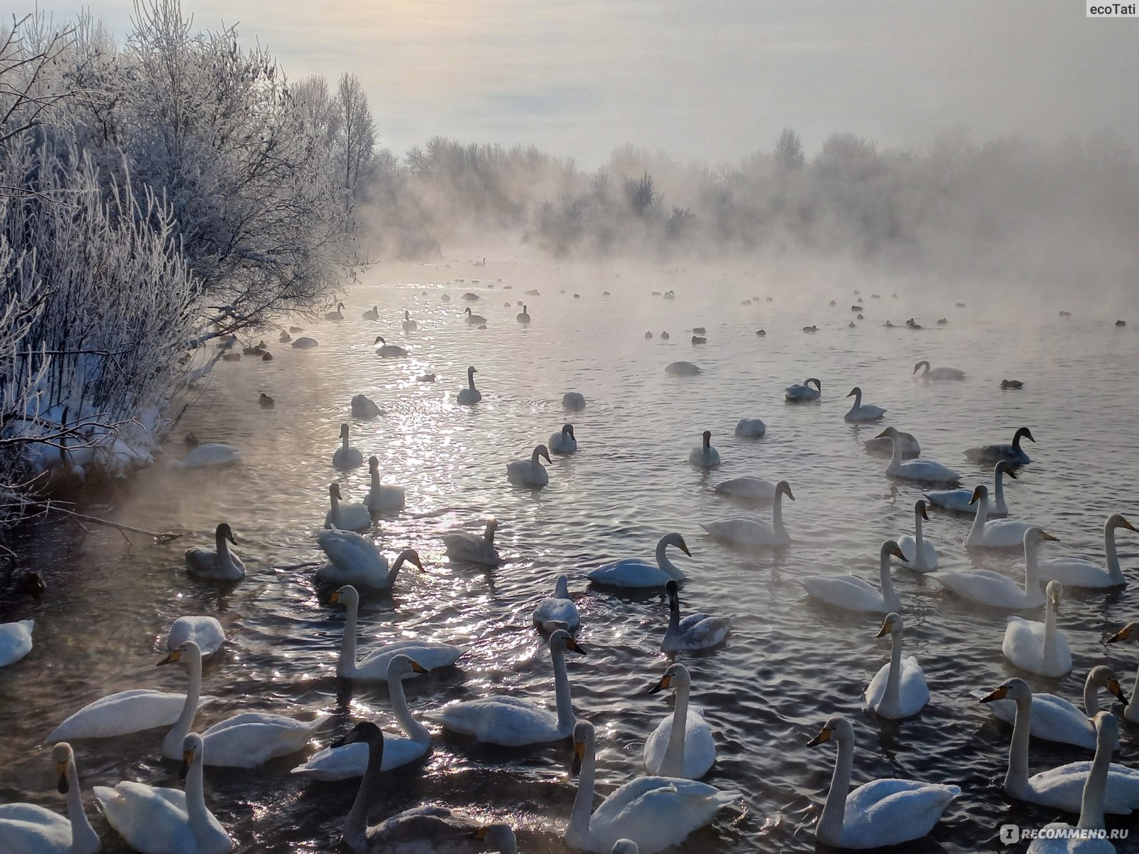 Лебединое озеро Алтай зимой драйв2