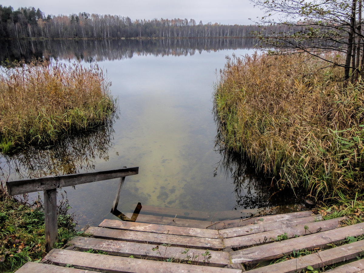 Озеро Светлояр осенью фото