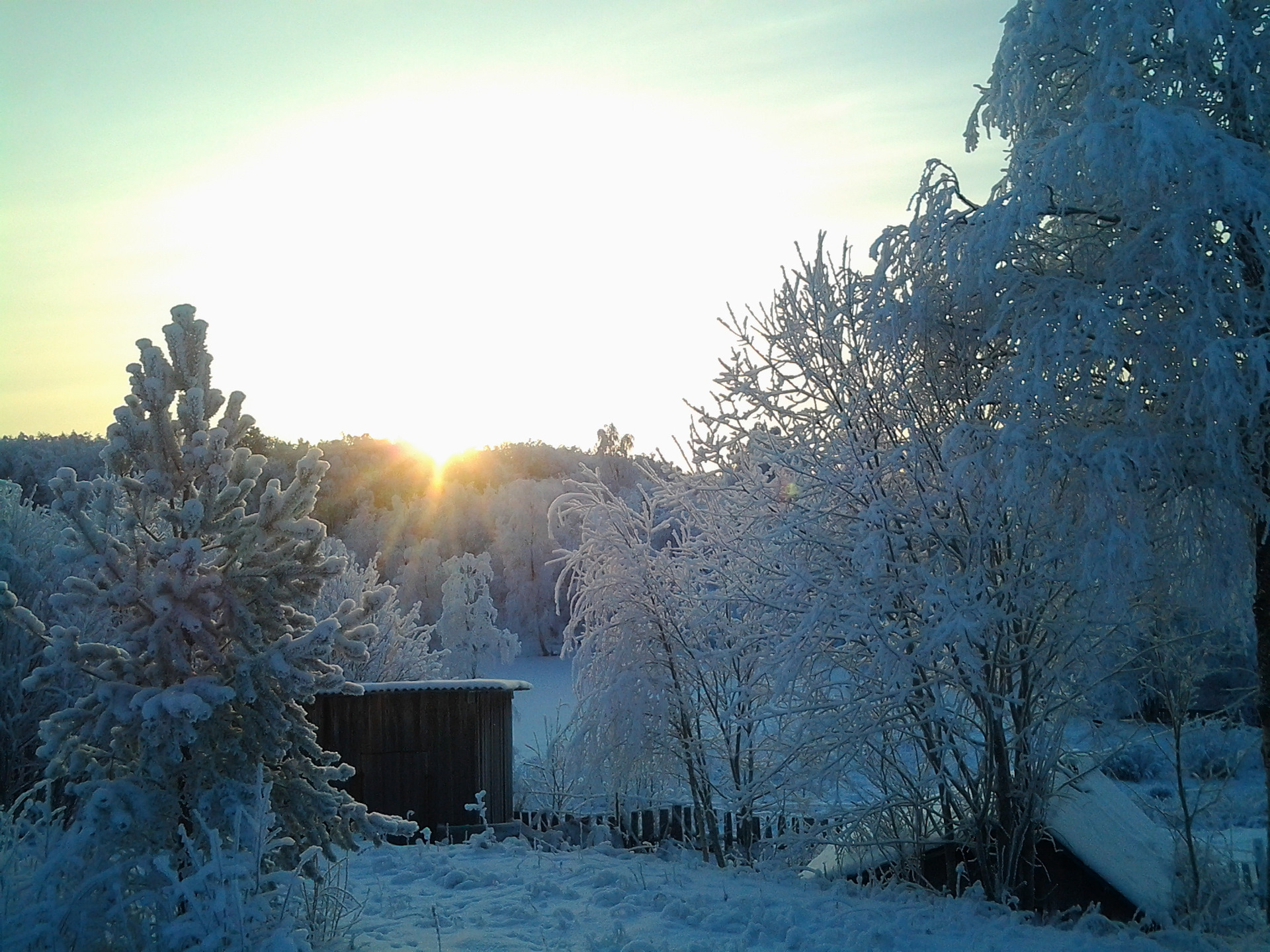 Снежное утро красивые фото Олег