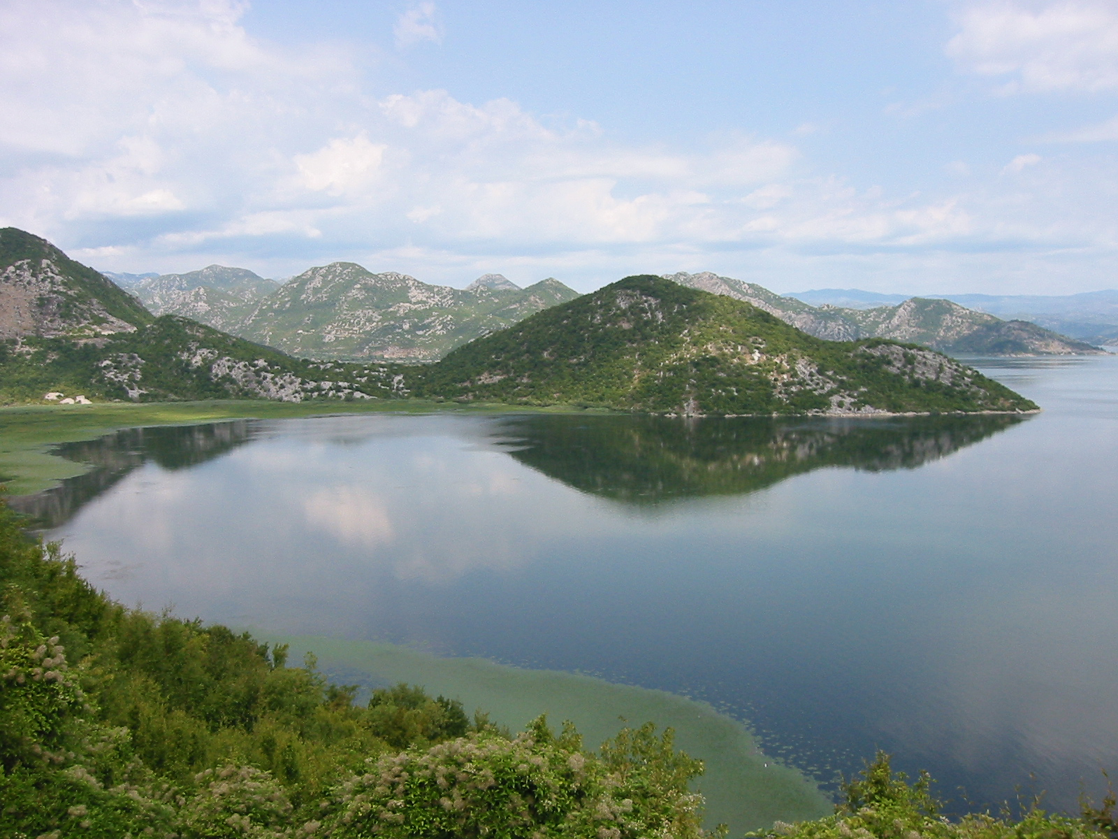 Национальный парк Скадарское озеро Черногория