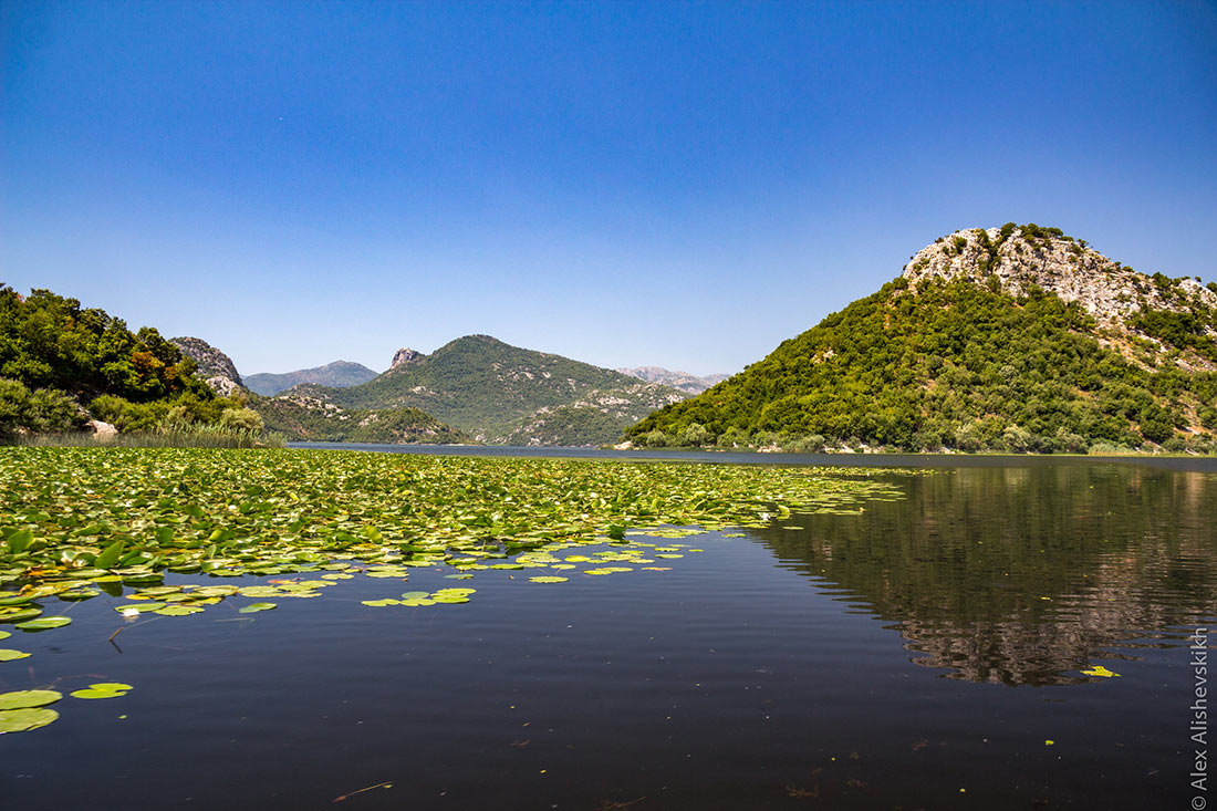 Скадарское озеро Подгорица