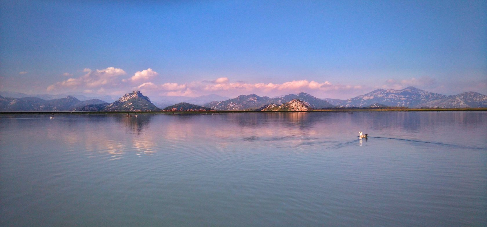Скадарское озеро Подгорица