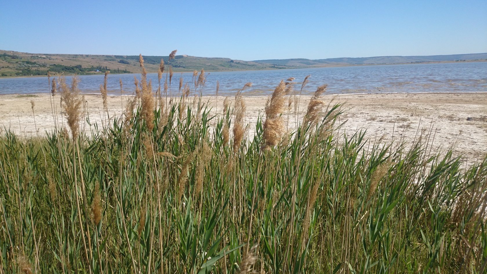 Солёное озеро в Ставропольском крае Светлоград