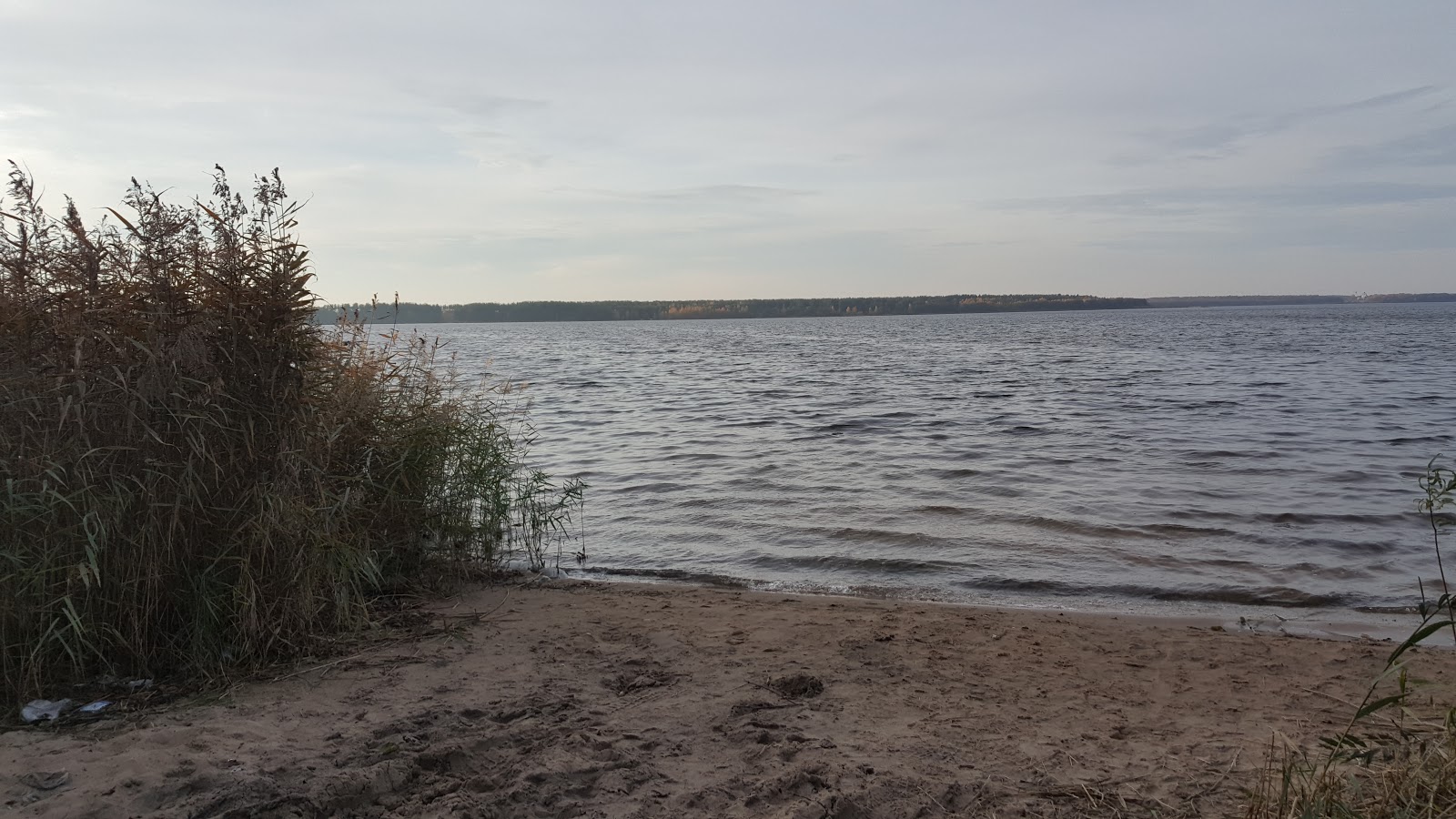 Озеро Муромское Шатура