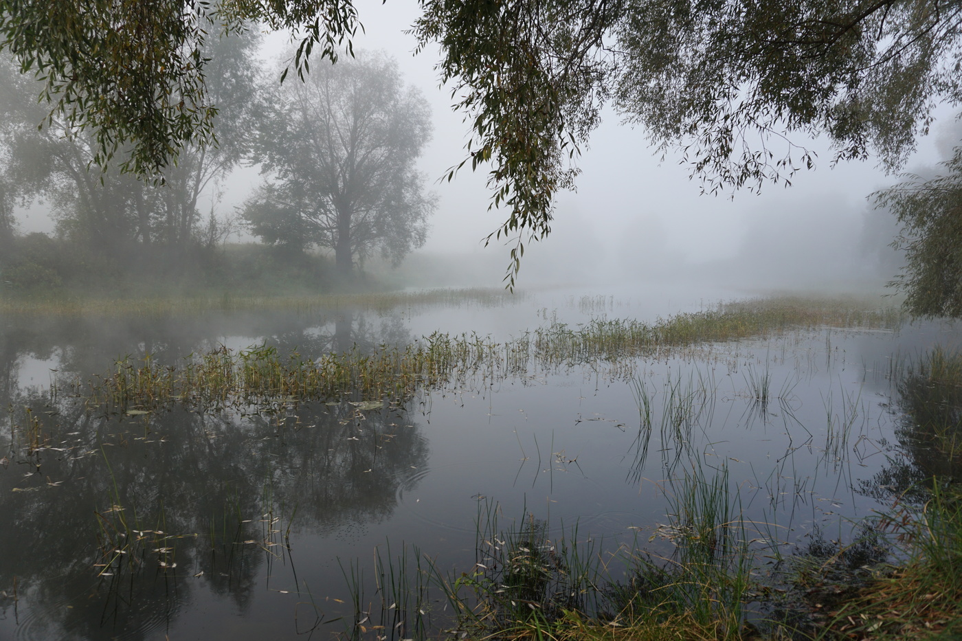 Туманное утро на озере