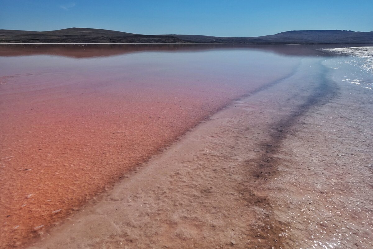 Розовое озеро Феодосия