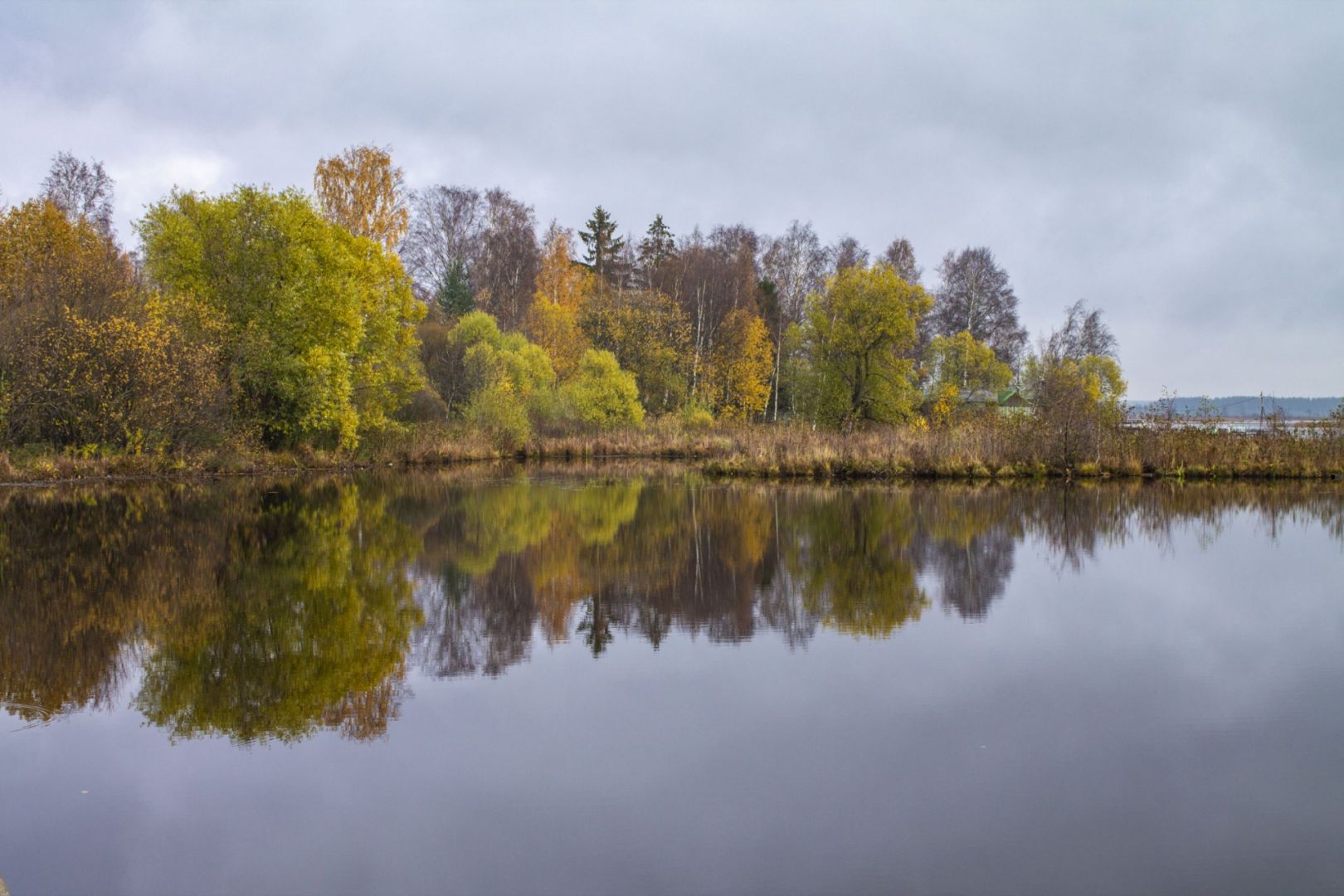 озеро в сестрорецке