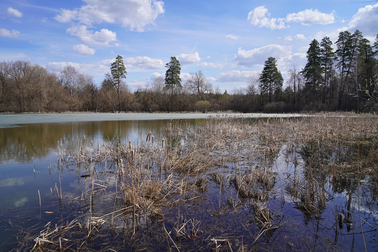 Озеро холерное Бузулукский