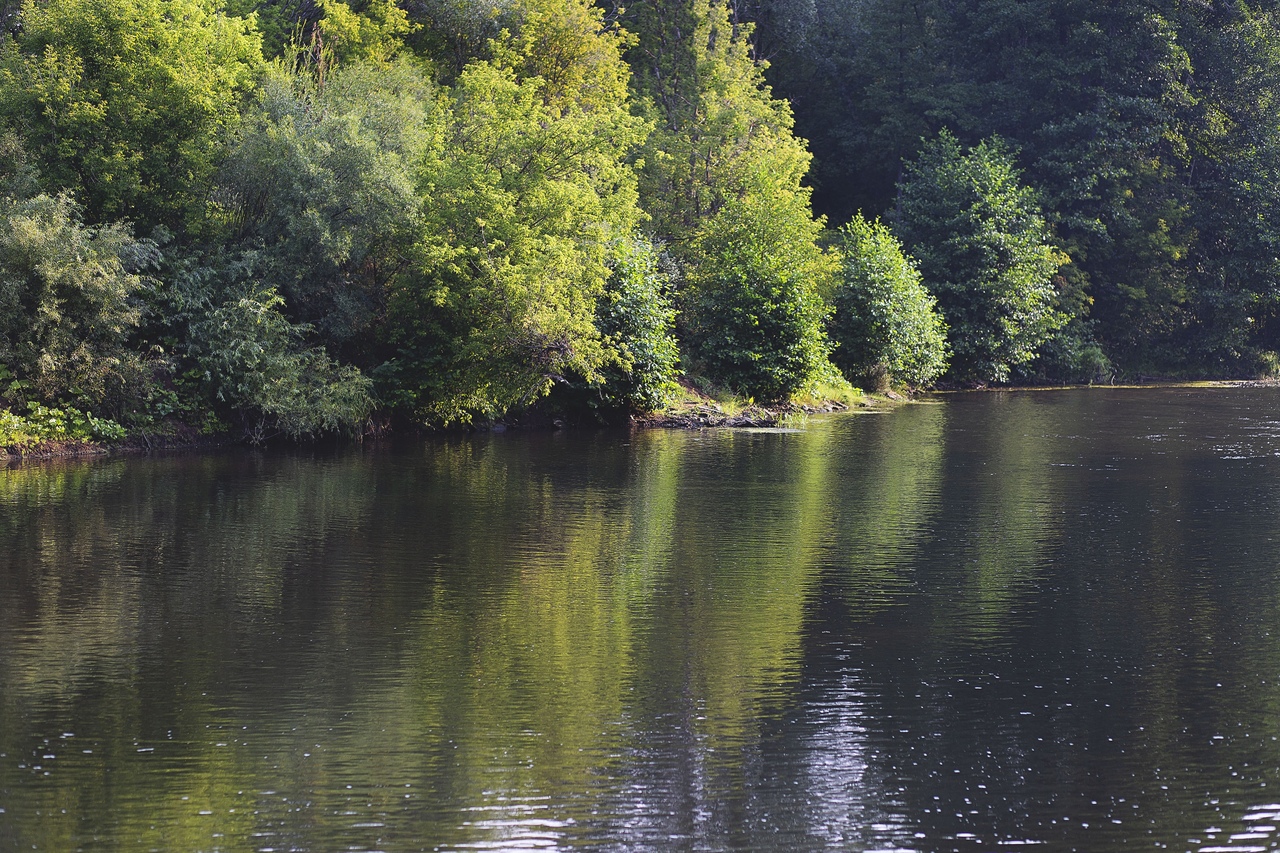Озеро холерное Бузулукский Бор фото