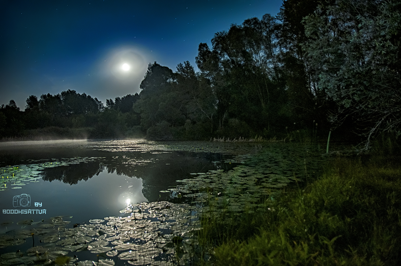 Озеро ночью