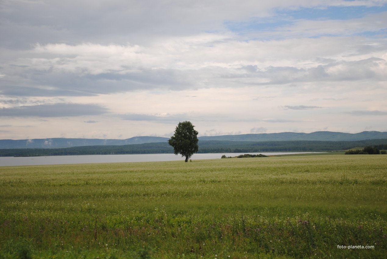 озеро танай кемеровская область