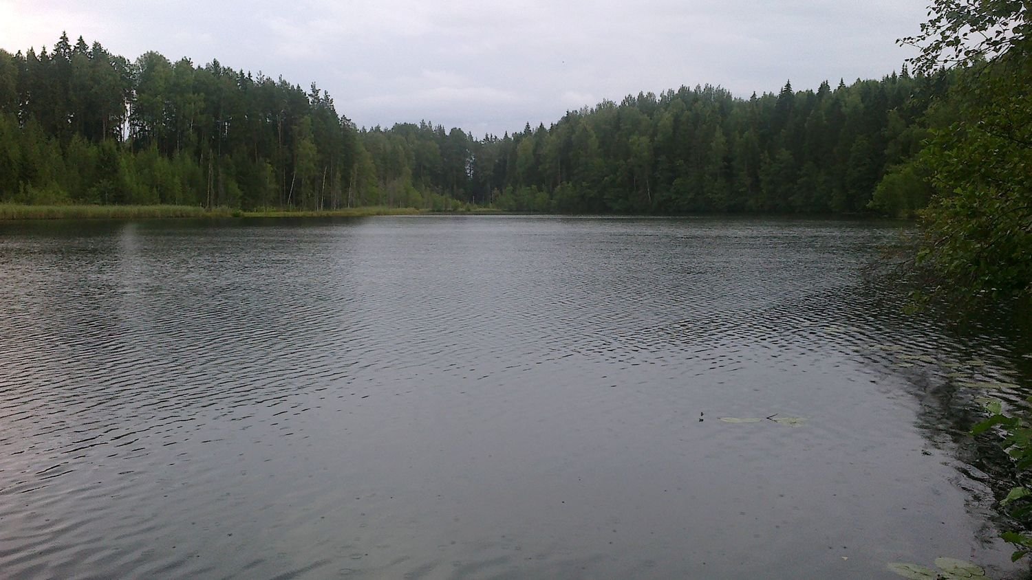 Озеро Щучье Муромцевский район
