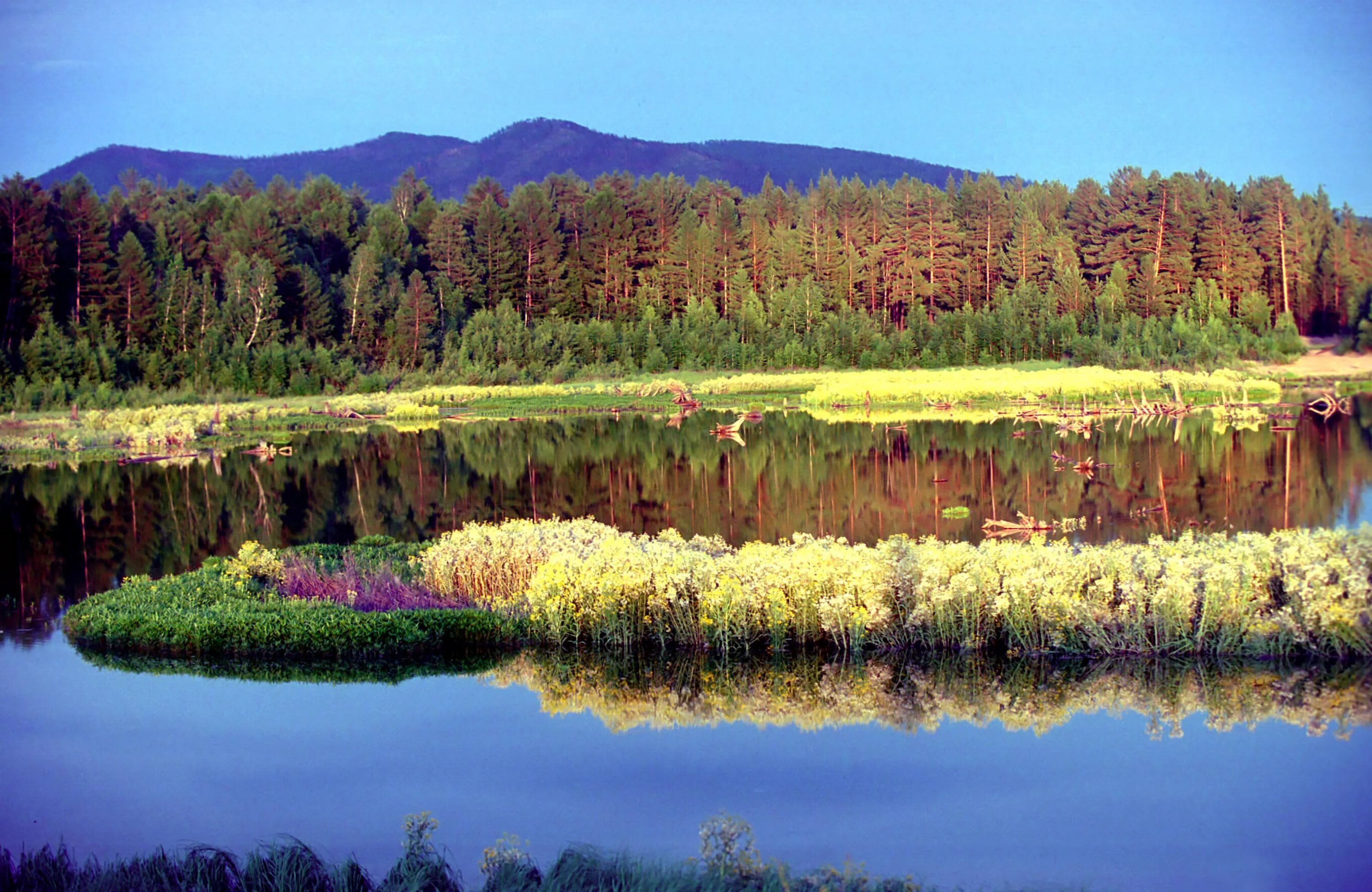 Природный парк река Сибирские Увалы