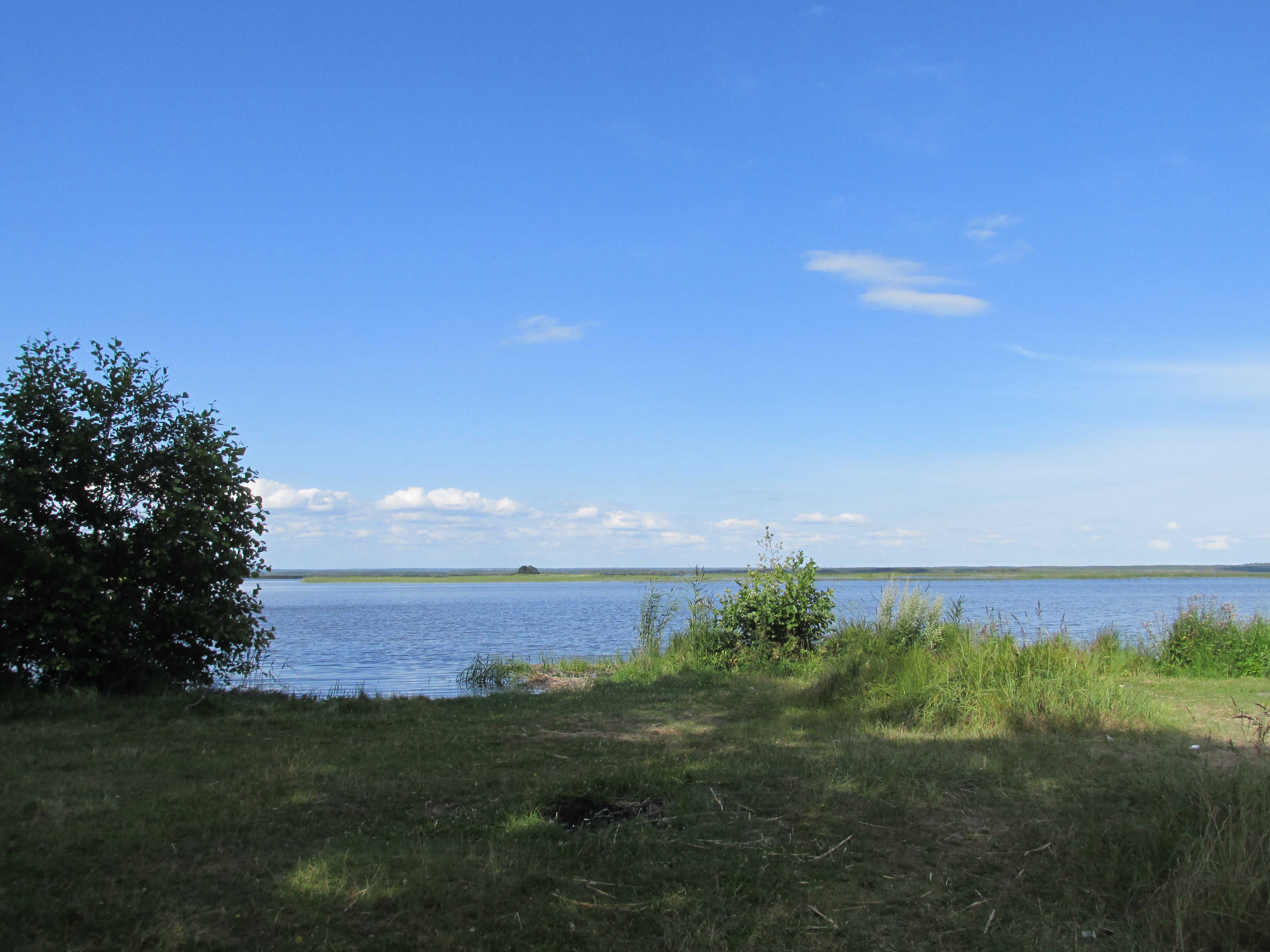 Тарховка Ленинградская область озеро